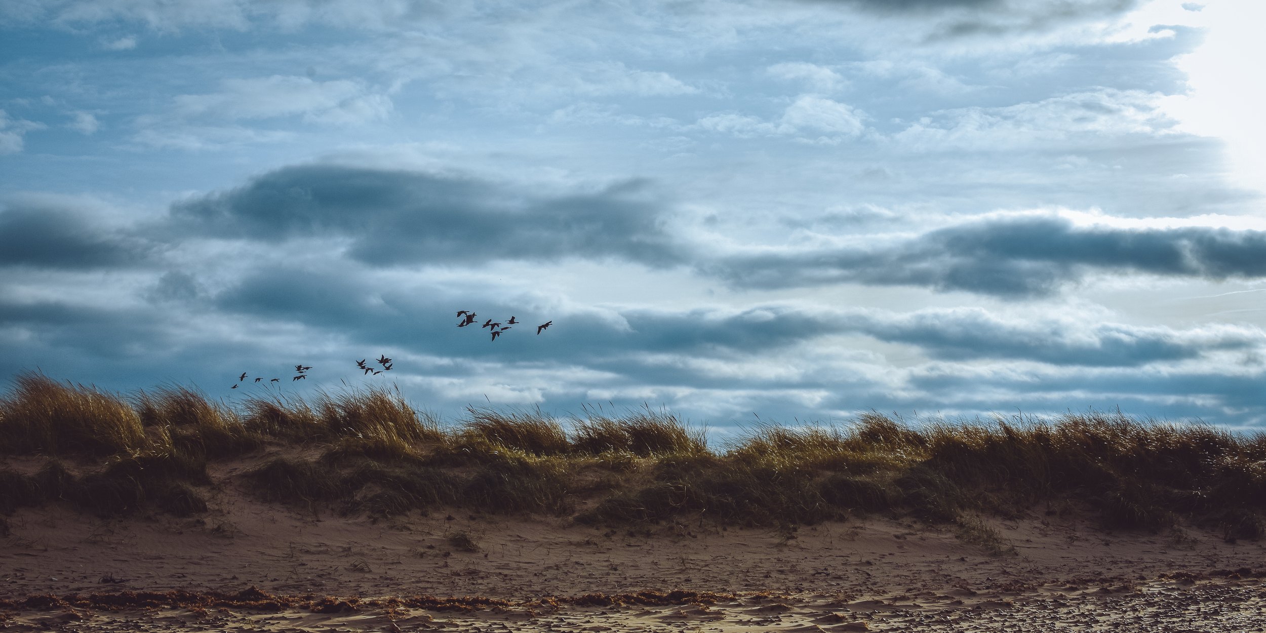 Brancaster 03-02-23-11.jpg