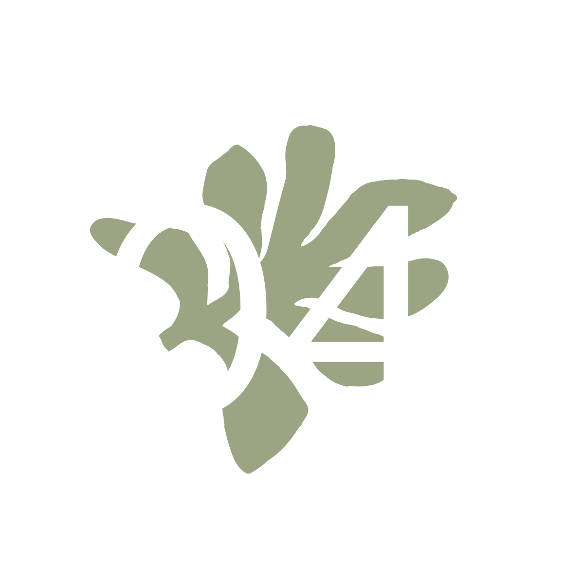 AlcoveSiteWeb_ElementGraphiques (3).png