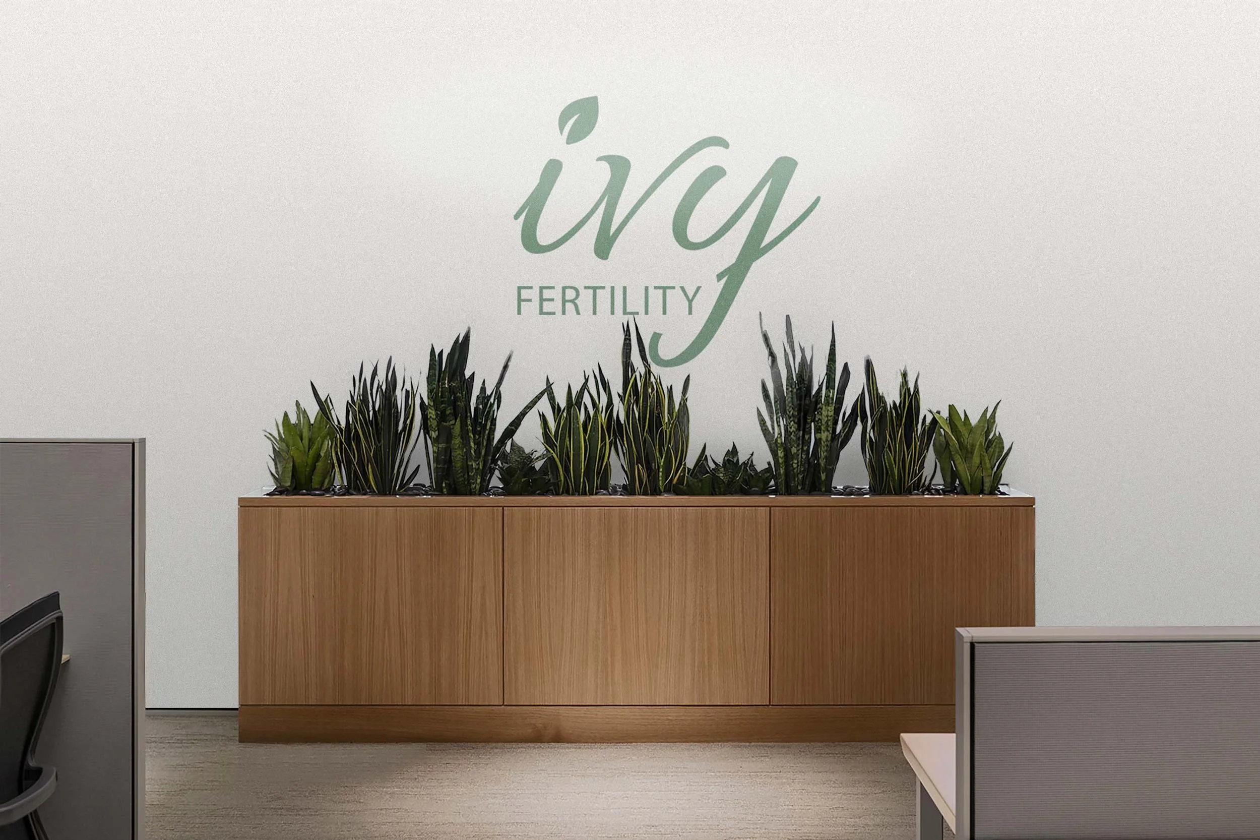 IVY---5.jpg