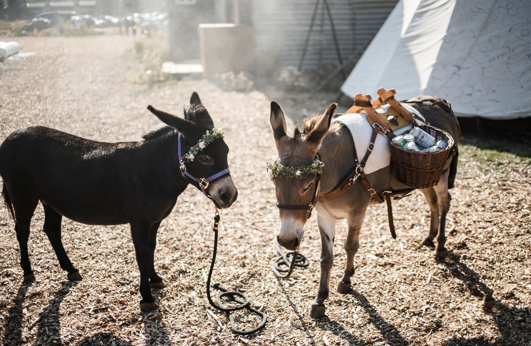 Screenshot 2026-02-01 at 12.52.42 PM.png