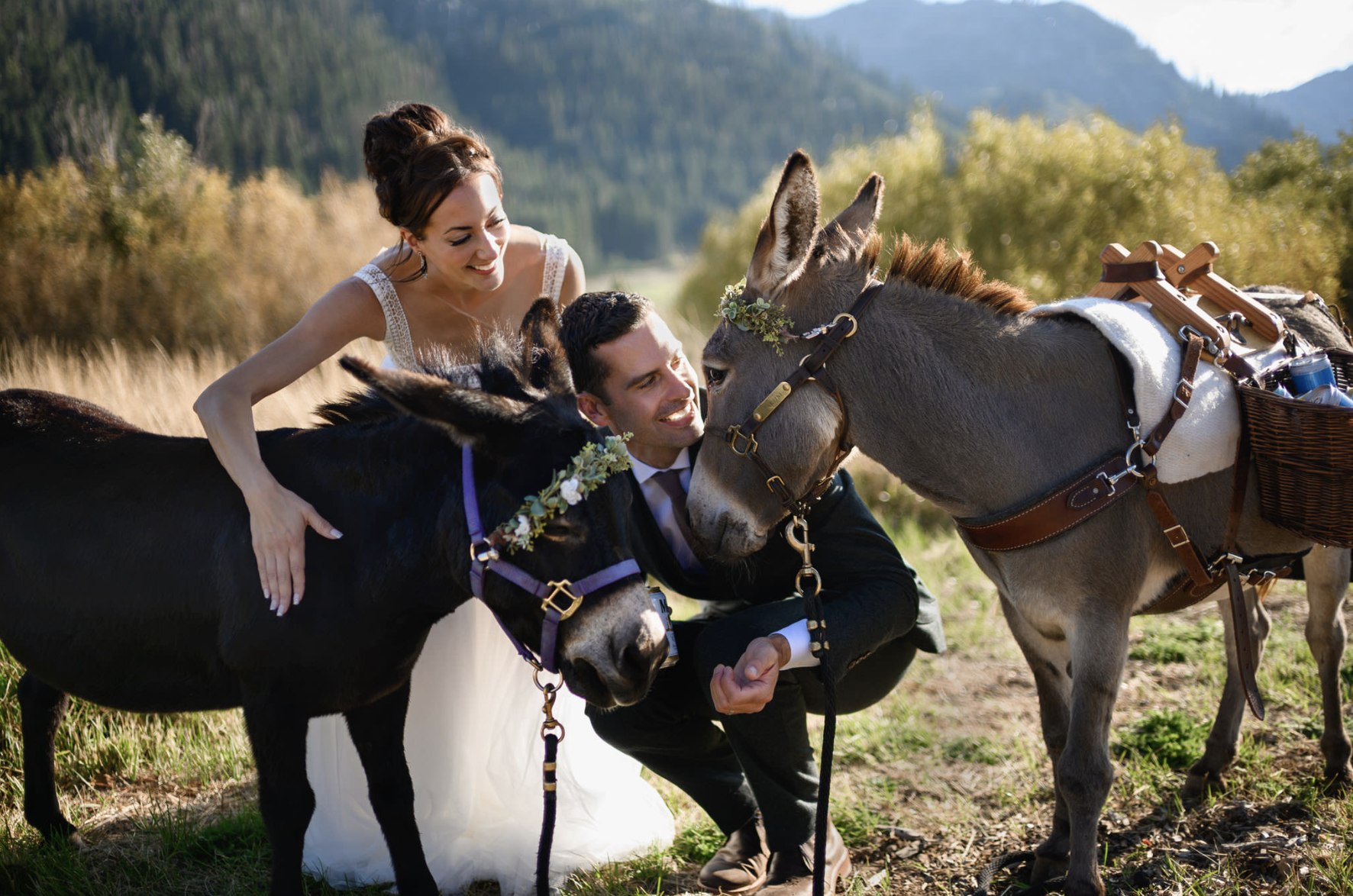 Screenshot 2026-02-01 at 12.52.35 PM.png