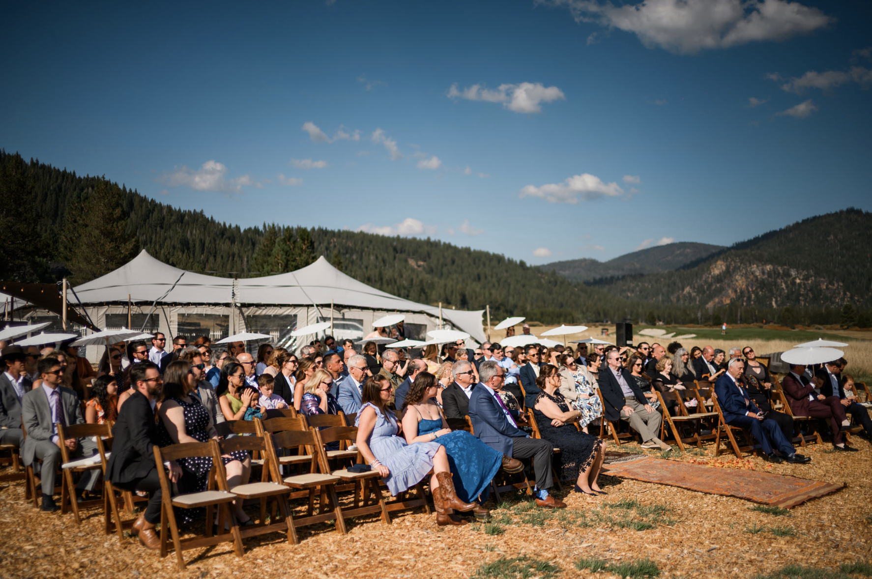 Screenshot 2026-02-01 at 12.52.09 PM.png