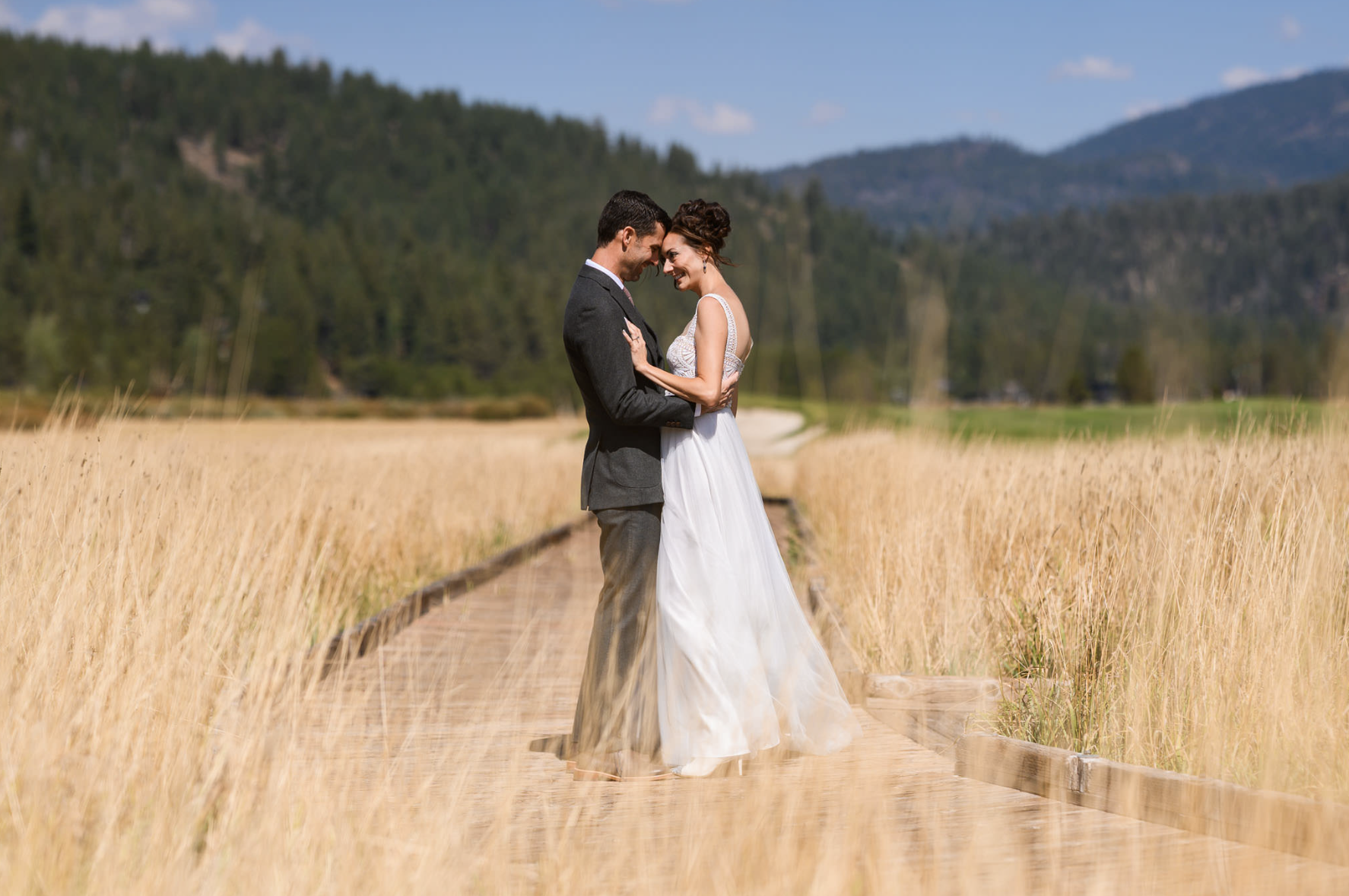 Screenshot 2026-02-01 at 12.50.11 PM.png