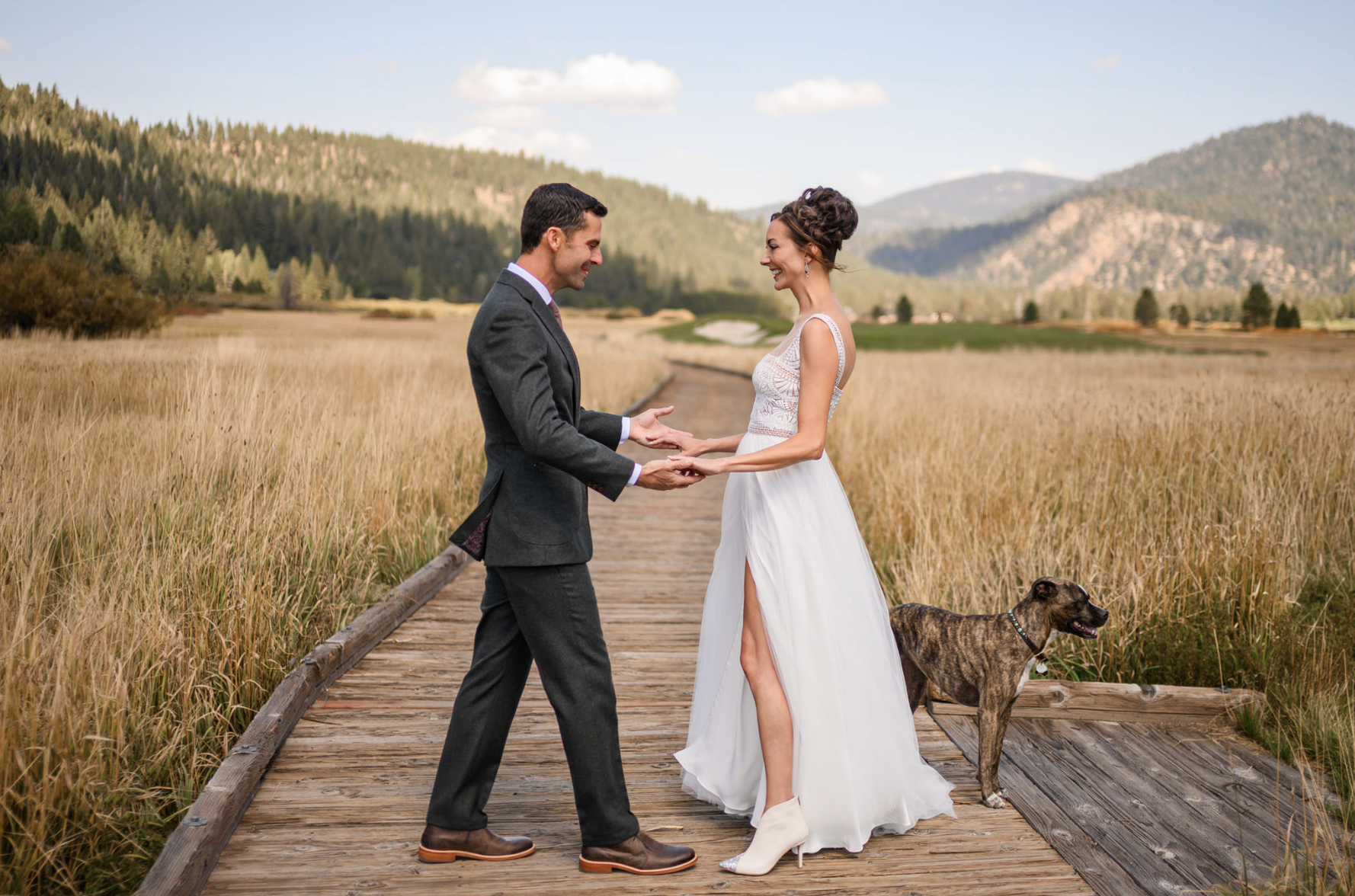 Screenshot 2026-02-01 at 12.50.03 PM.png