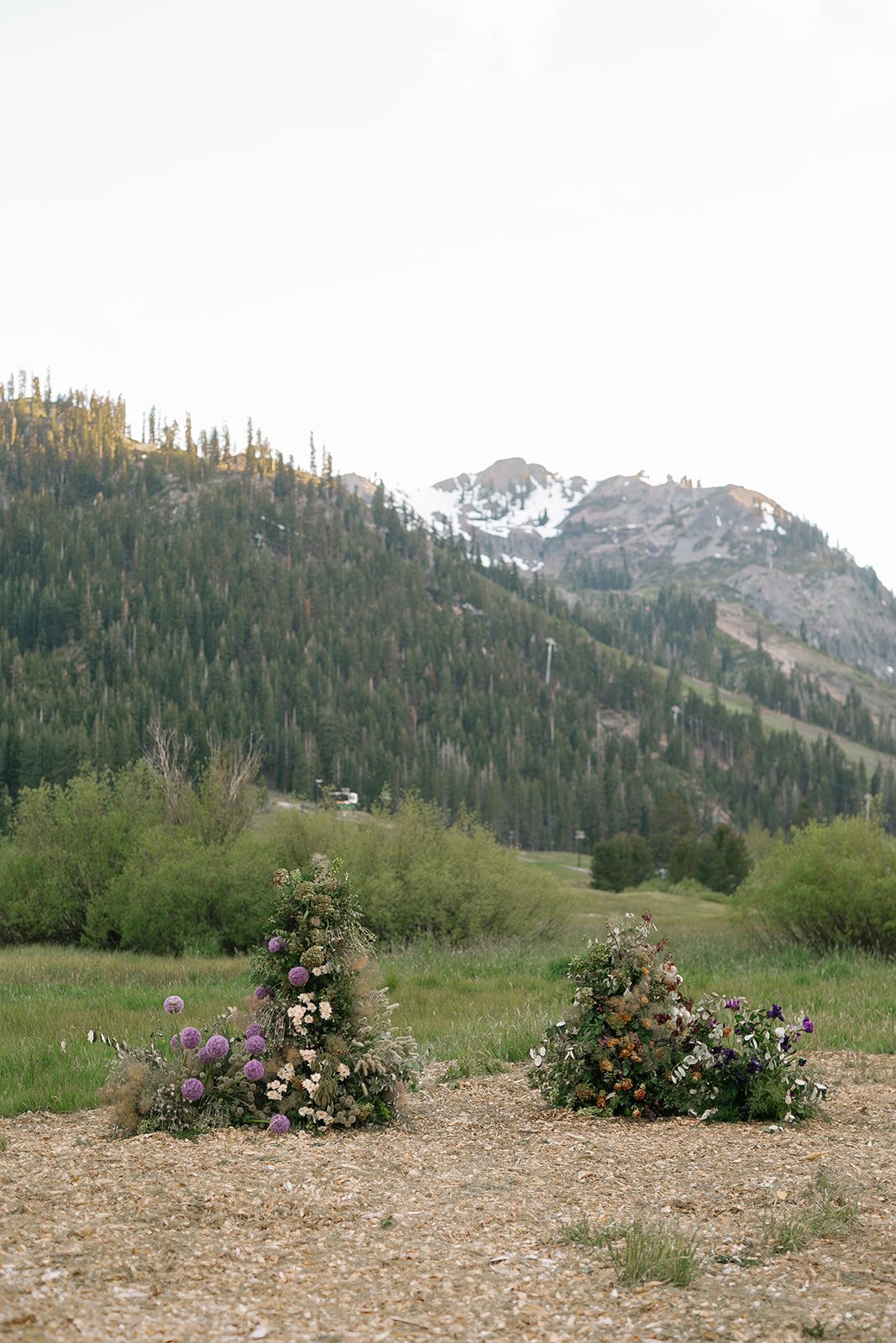 OlympicValleyStables-9501.jpg
