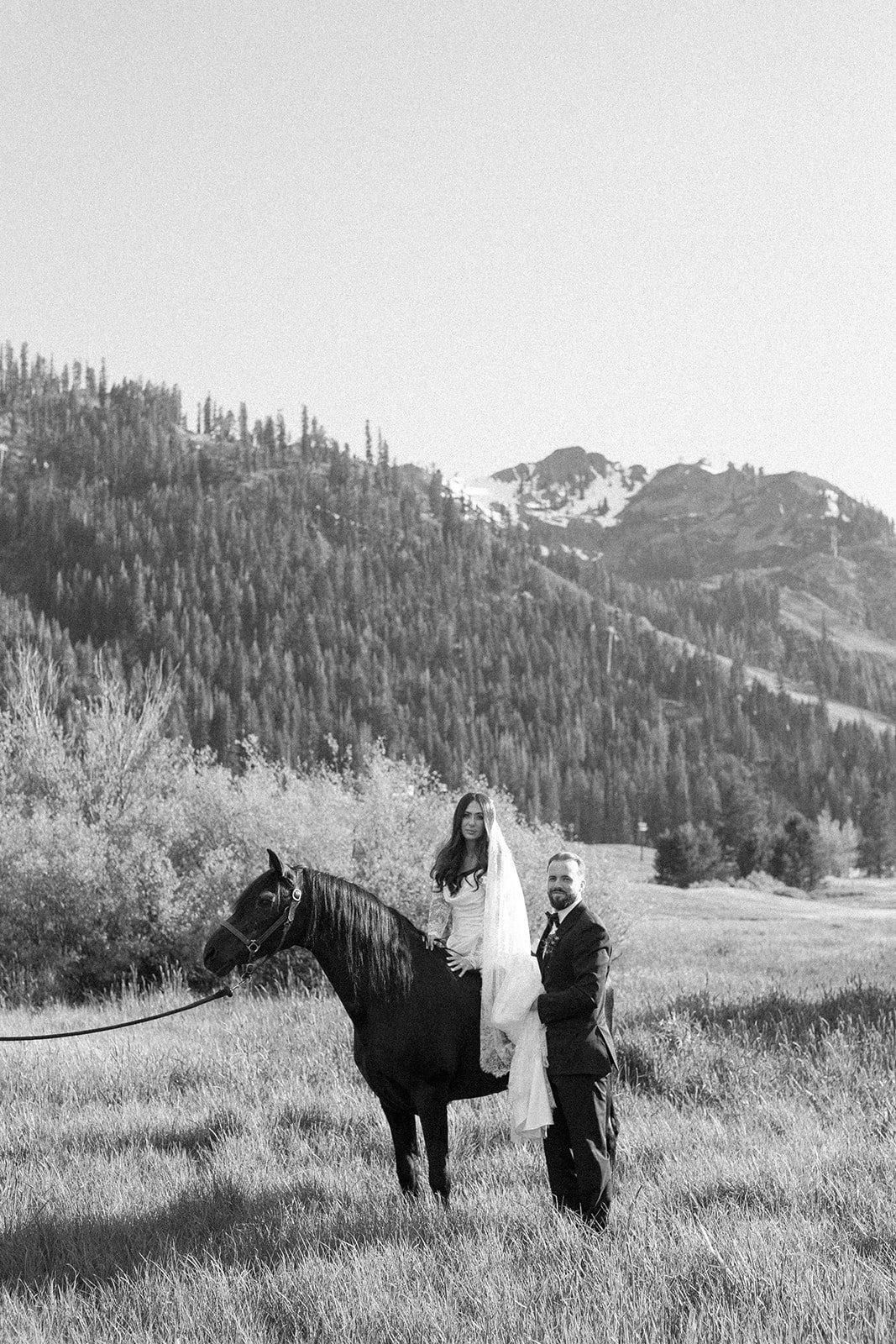 OlympicValleyStables-9185.jpg