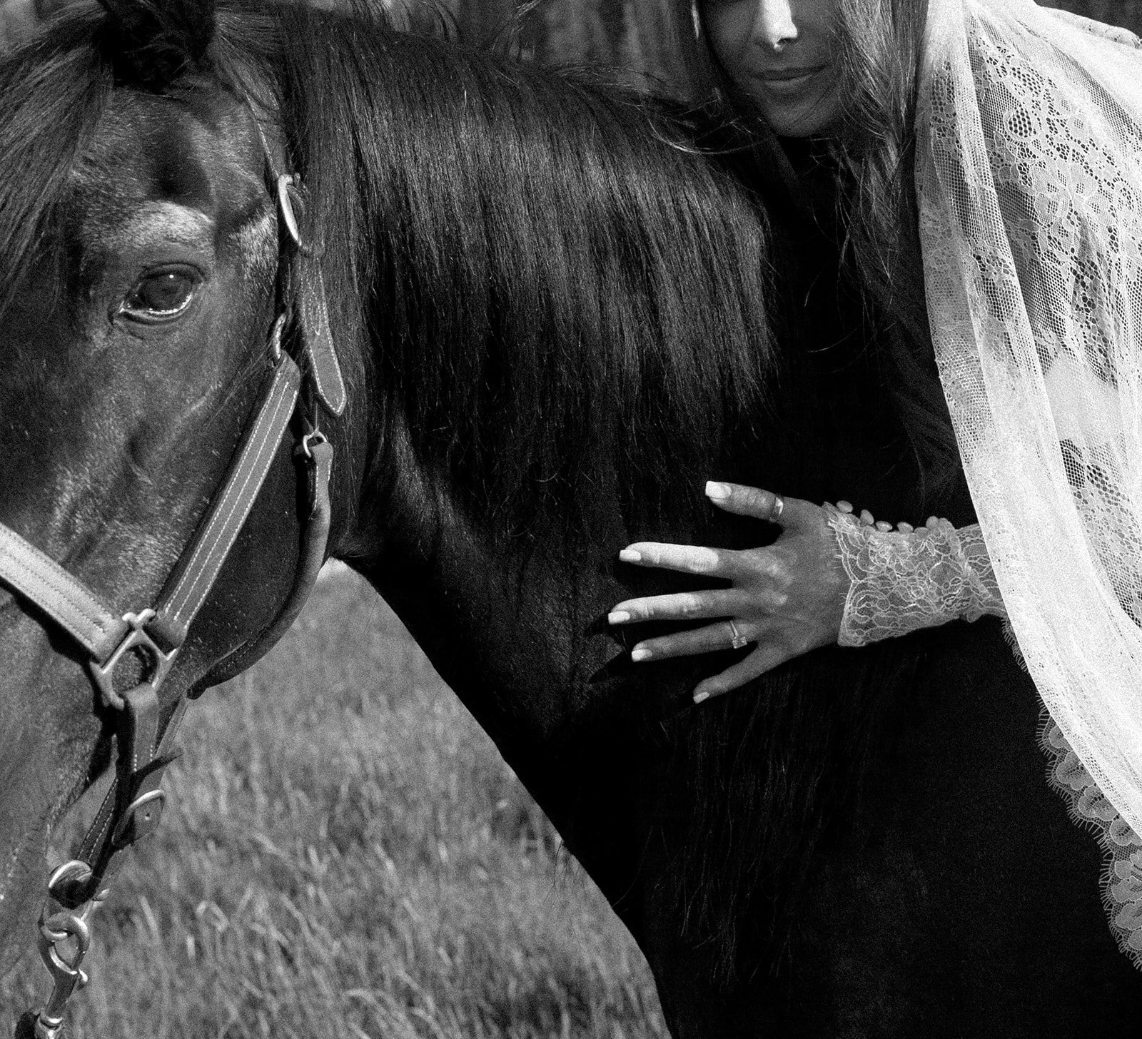 OlympicValleyStables-9224.jpg