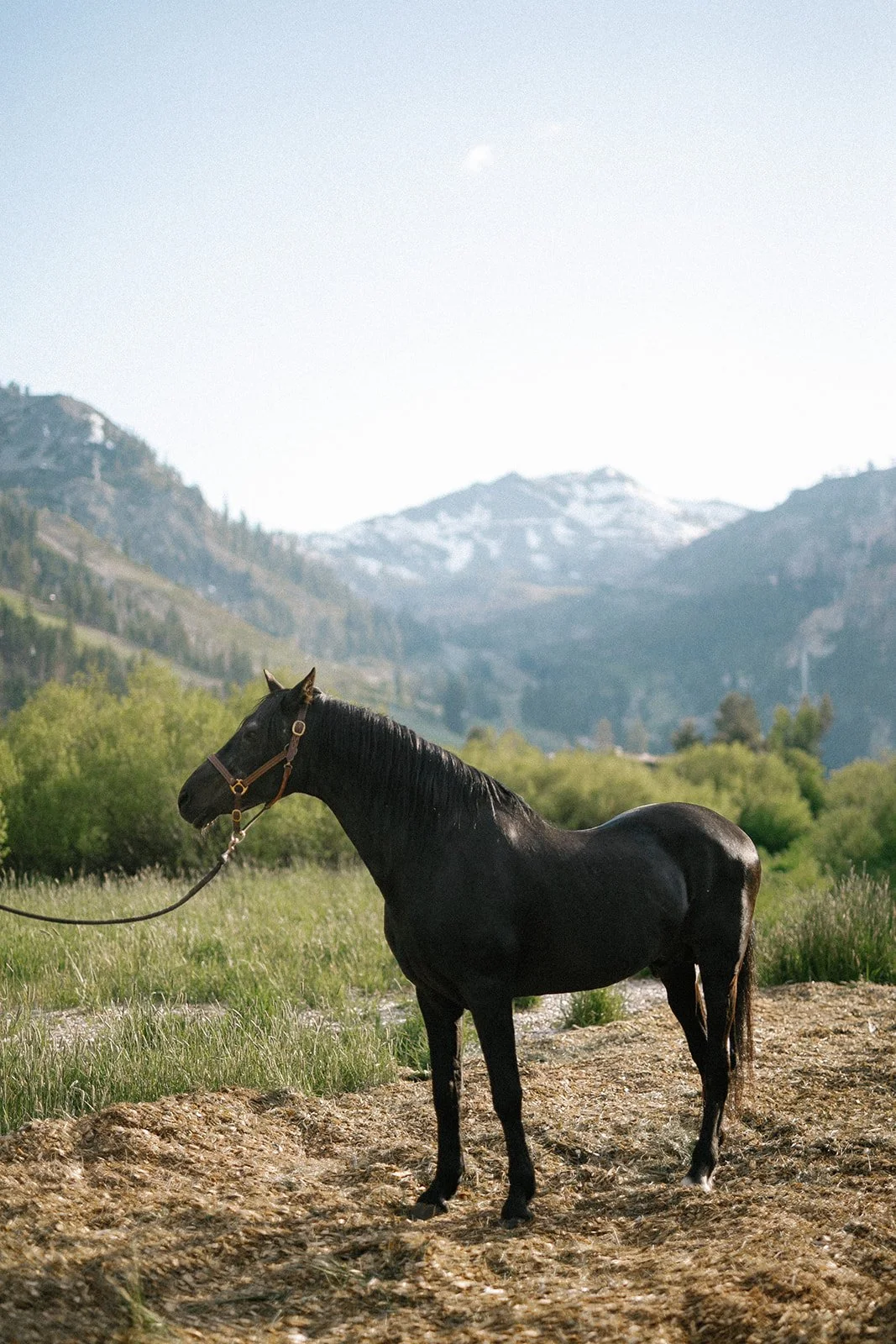 OlympicValleyStables-9326.jpg