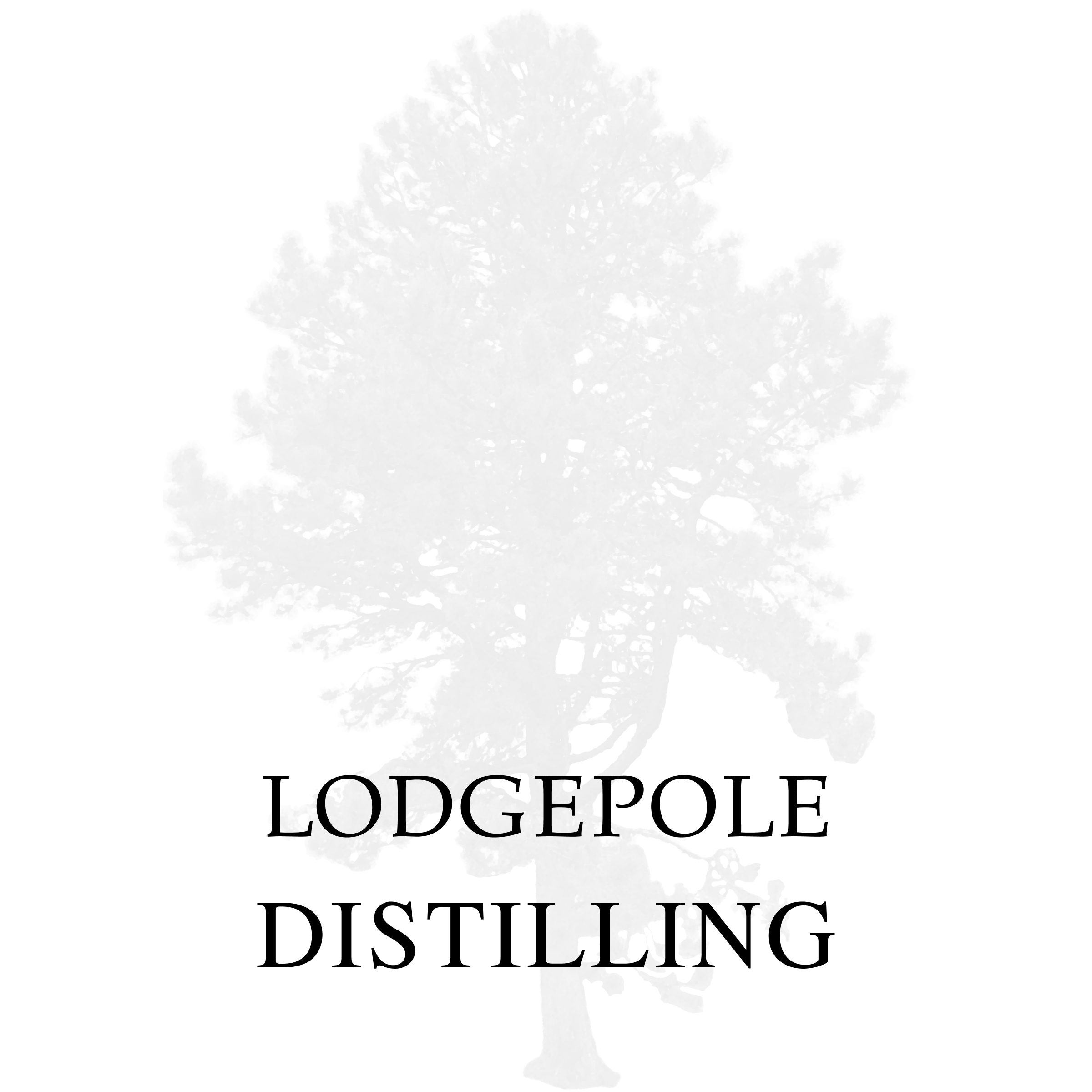lodgepole.png