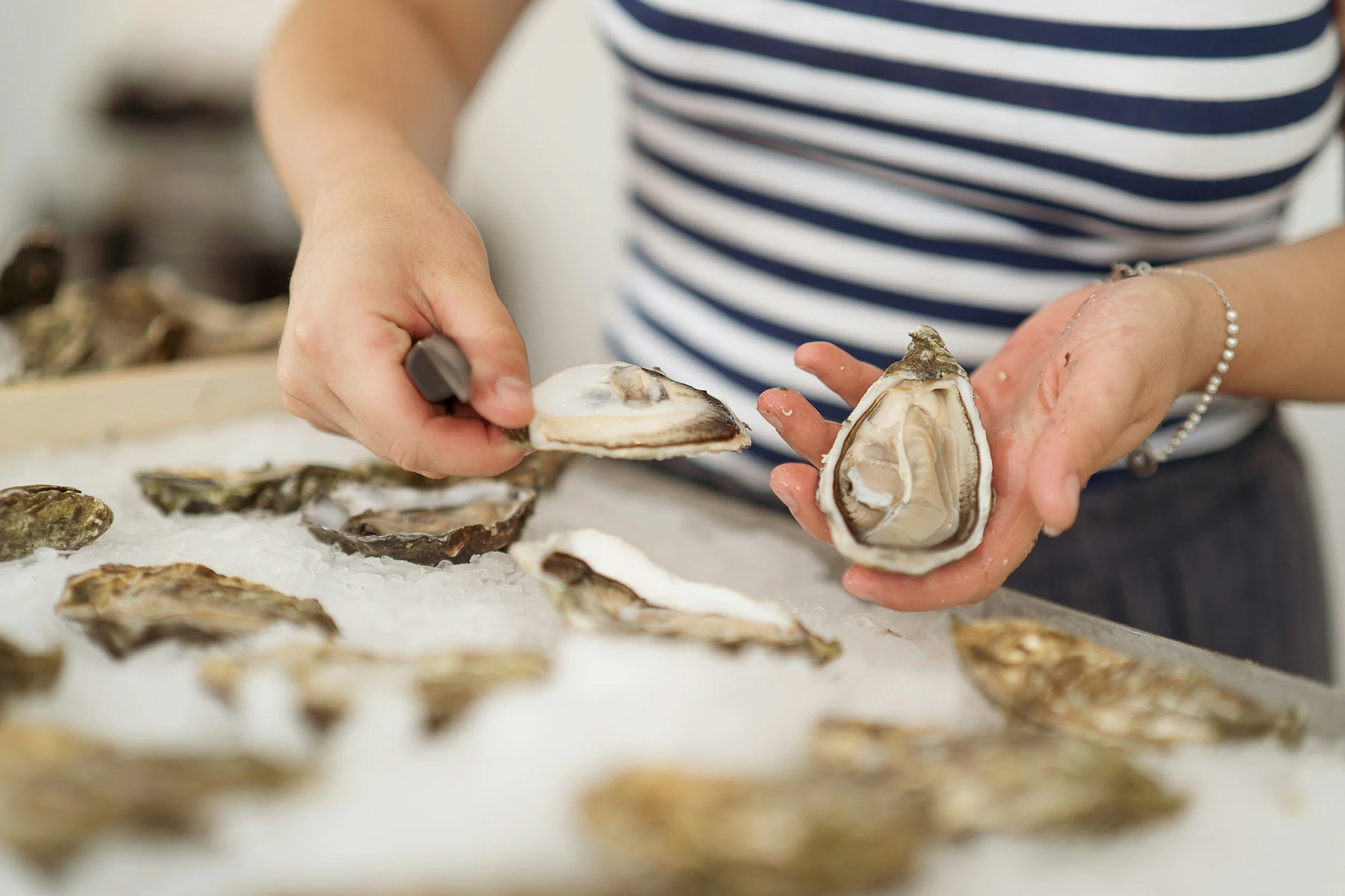 Percy's X Montenegro Oyster Event