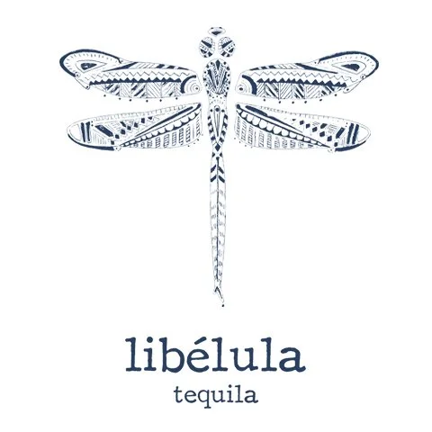 Libélula-480x480.jpg