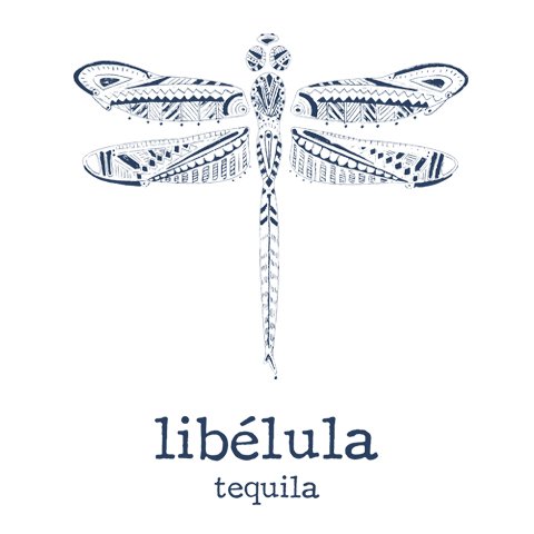 Libélula-480x480.jpg
