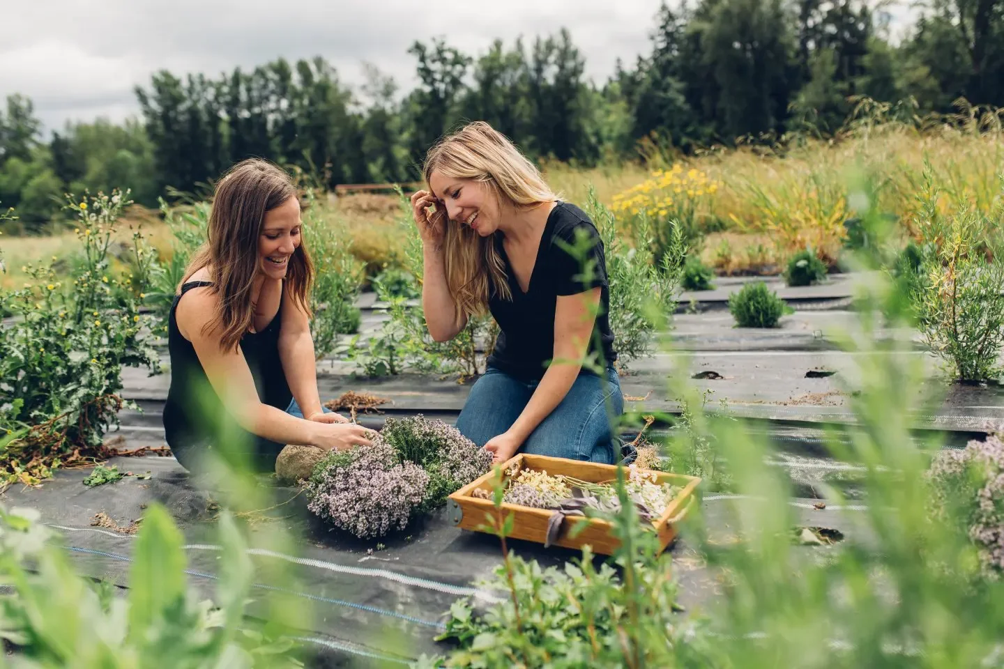 BCS SESSION: Slow &amp; Seasonal: Crafting Sustainable Cocktail Programs