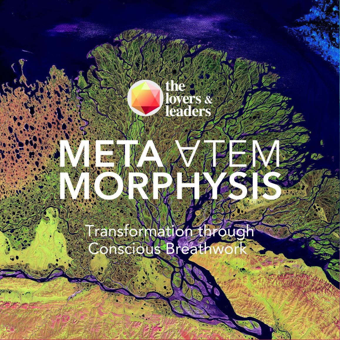Metamorphysis Newsletter 4 - Juli 2025 (E-Mail-Header).jpg