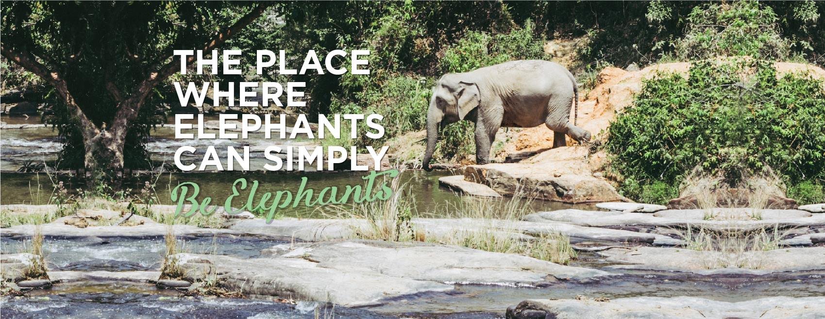 I Love to Work And Now I Love My Job