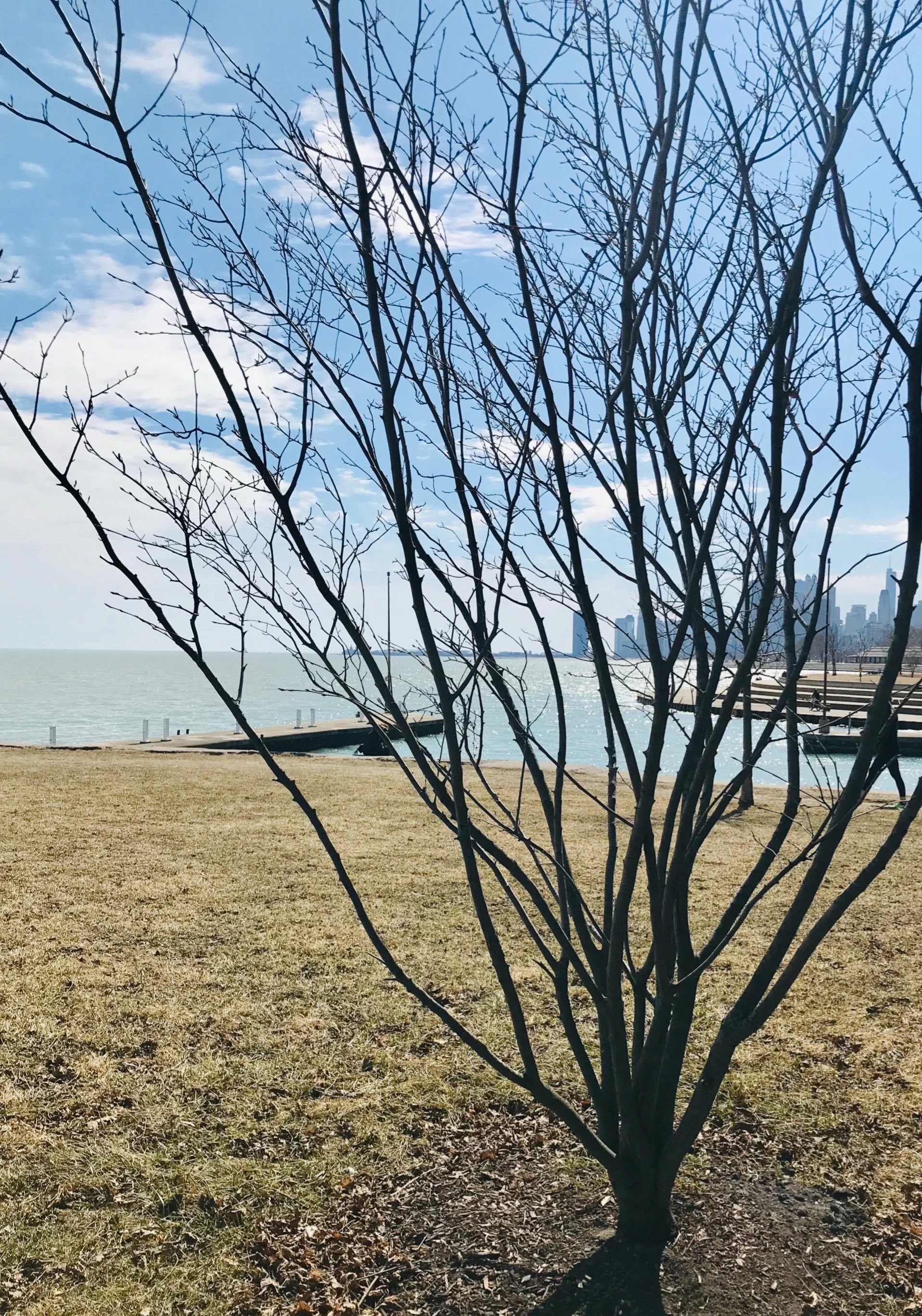 Five Years - Seems Like Yesterday