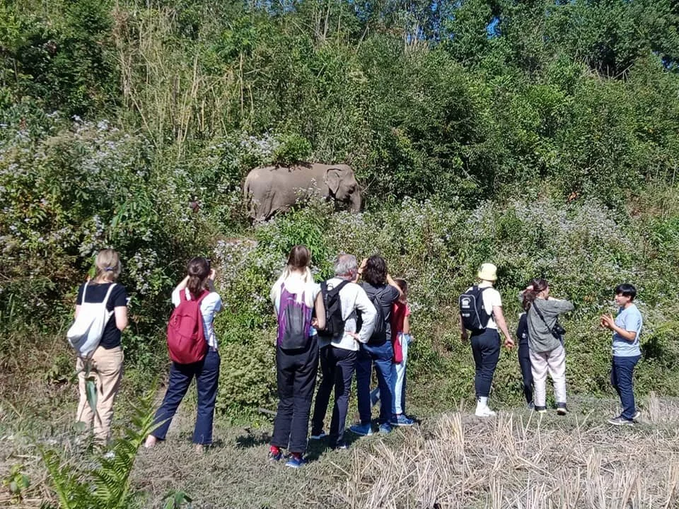 Today is #WorldWildlifeDay