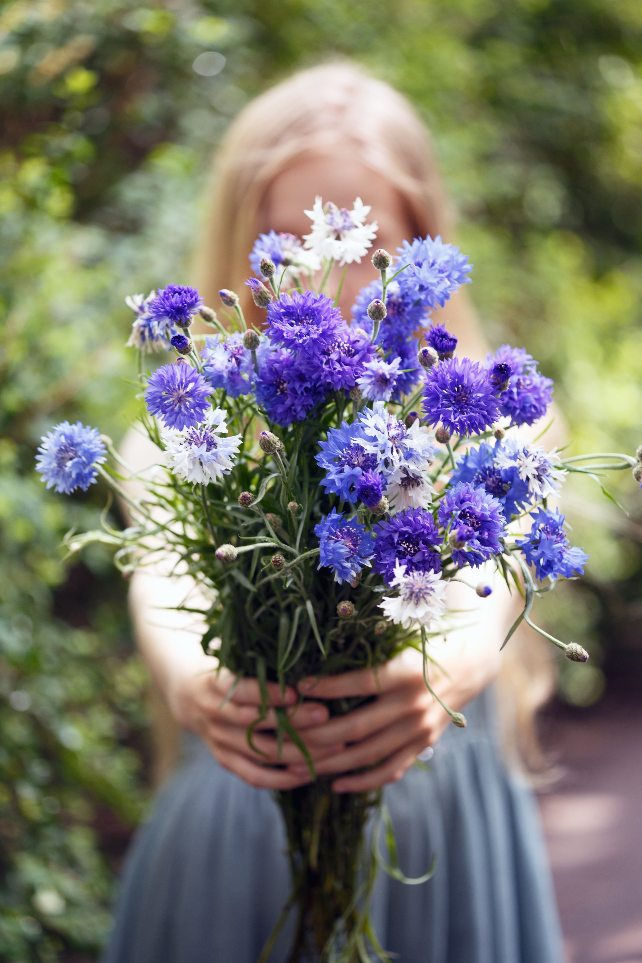 spring-mood-girl-holding-a-bouquet-of-centaurea-2025-10-15-03-48-26-utc (1).jpg