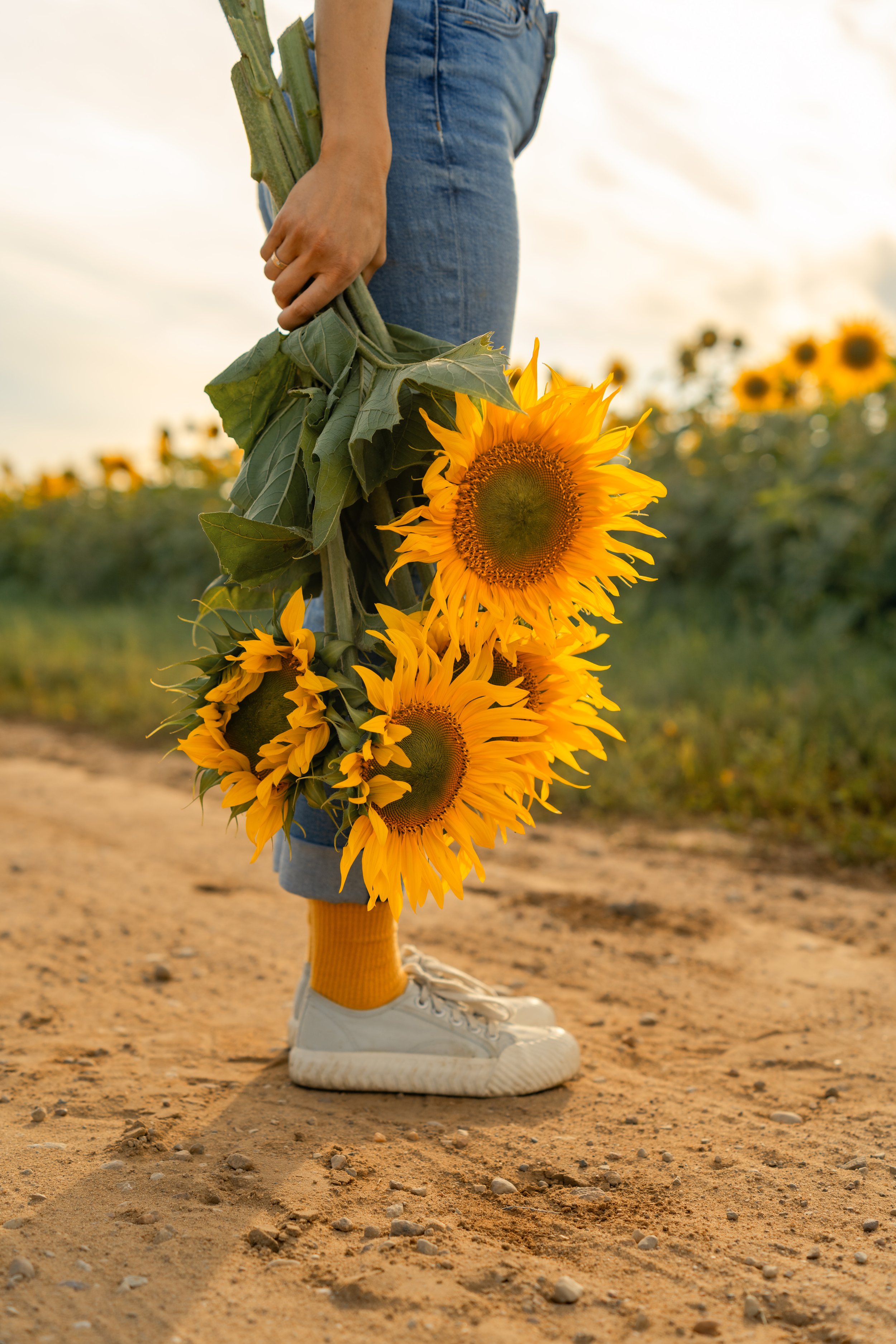 young-woman-holding-sunflowers-while-standing-on-2025-01-10-02-19-14-utc.jpg