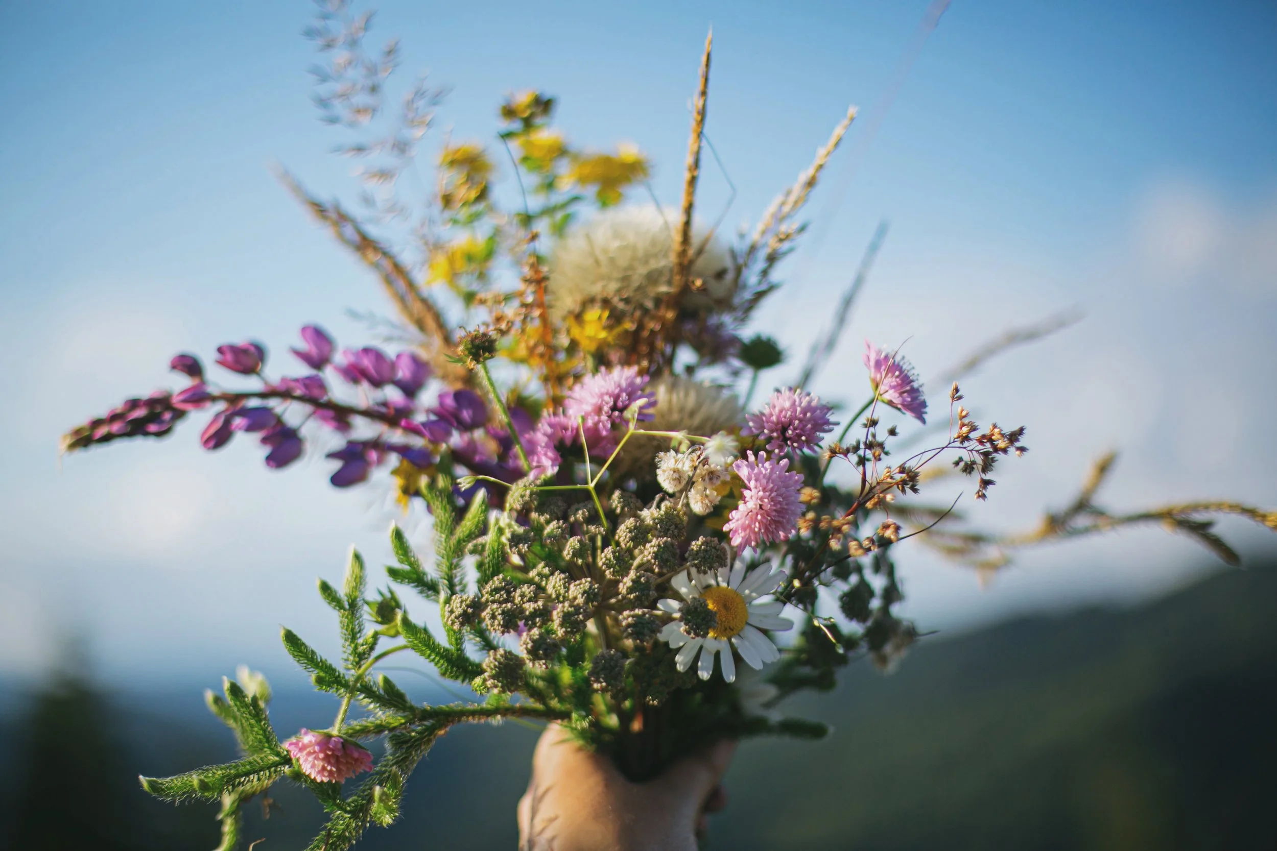 beautiful-colorful-bouquet-of-wildflowers-in-hand-2025-03-15-07-06-12-utc.jpg