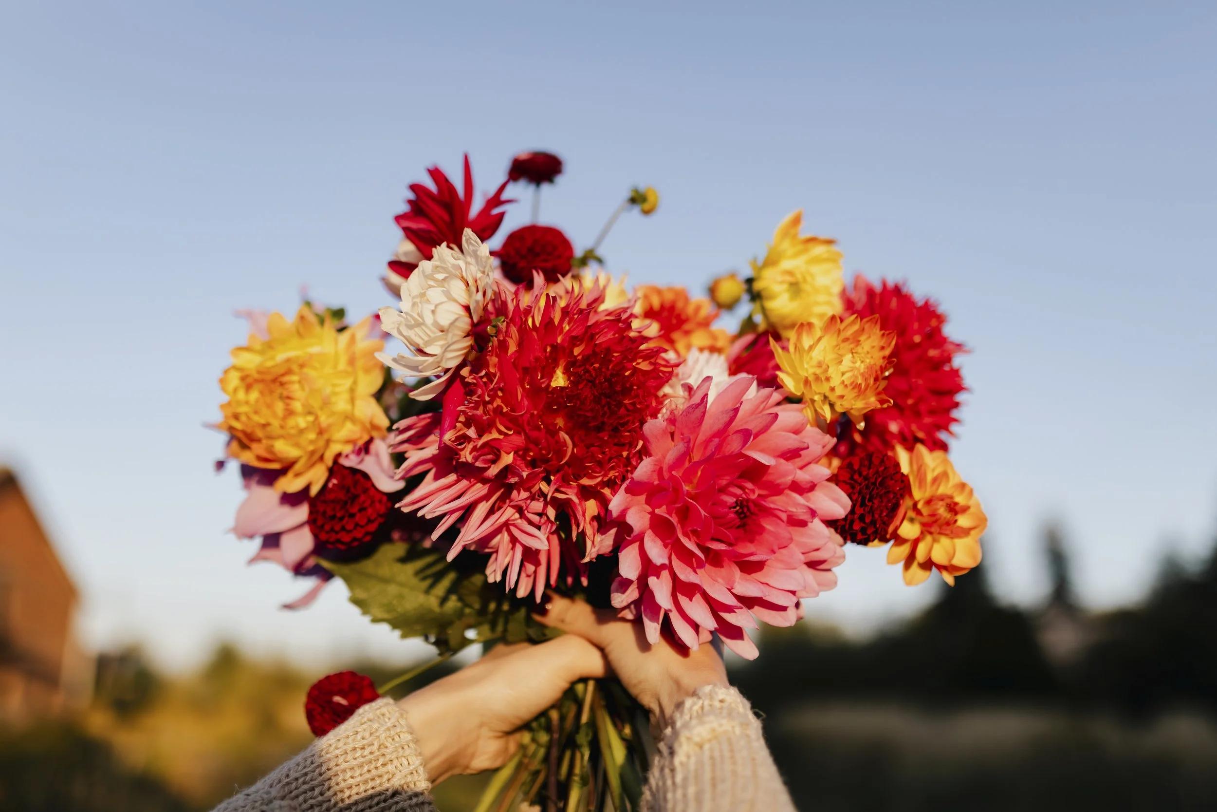 beautiful-flower-bouquet-2025-02-09-22-57-16-utc.jpg