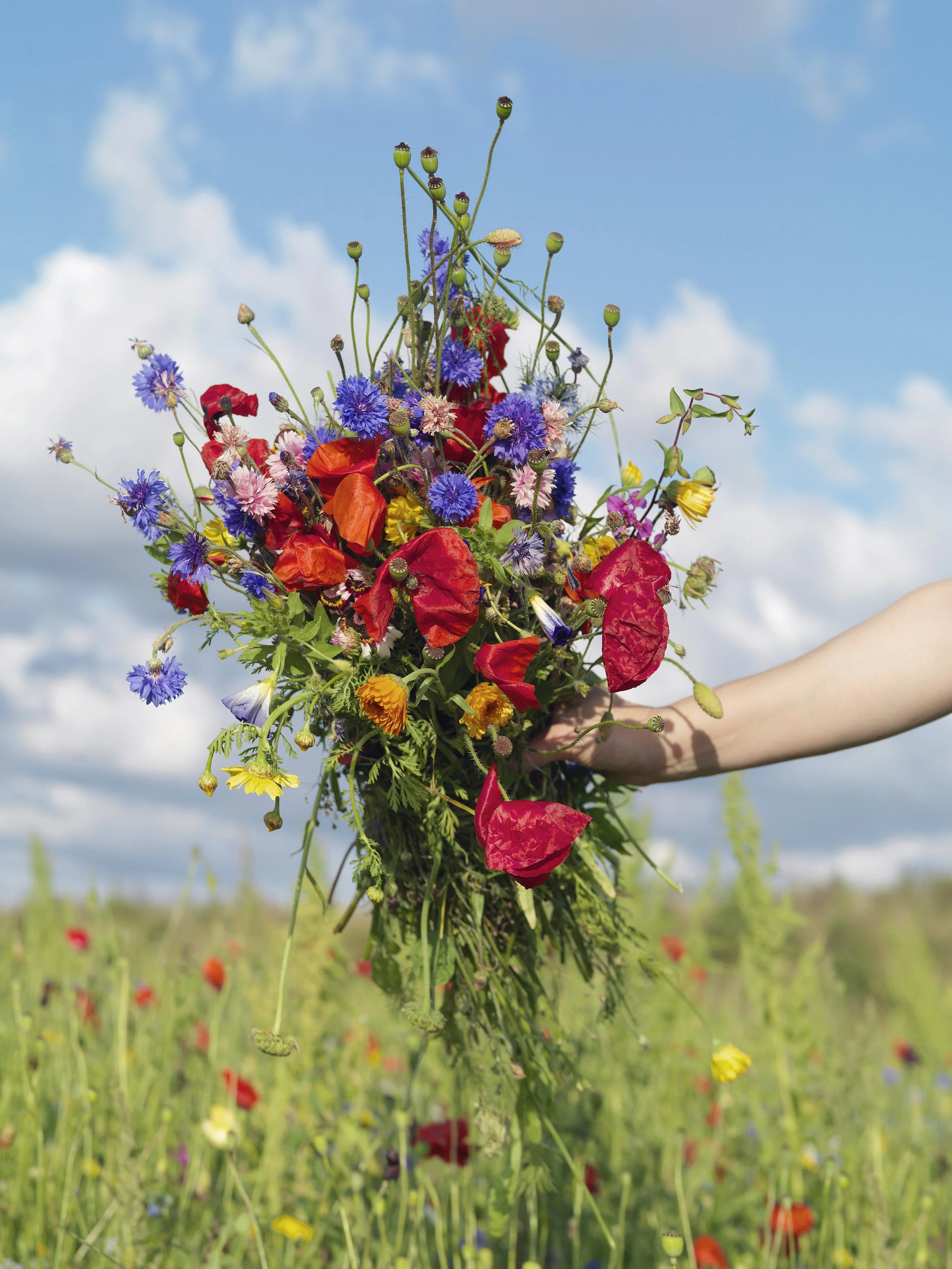 hand-holding-a-vibrant-bouquet-of-wildflowers-agai-2025-04-05-03-50-52-utc.jpg
