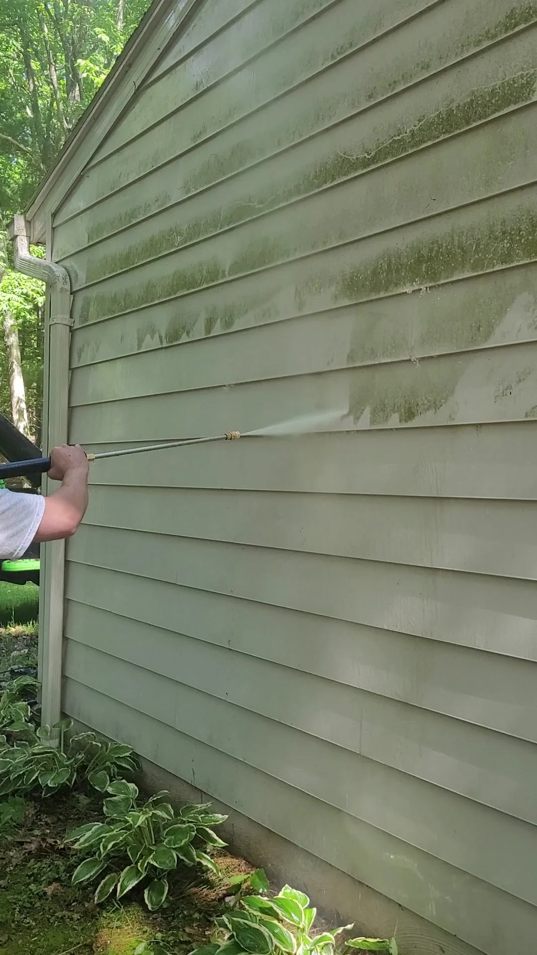 Person pressure washing the exterior siding of a house with green, moss and dirt buildup.