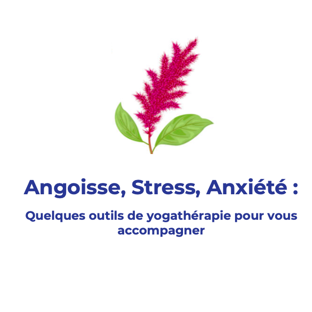 Capture d’écran 2024-09-02 à 16.31.48.png