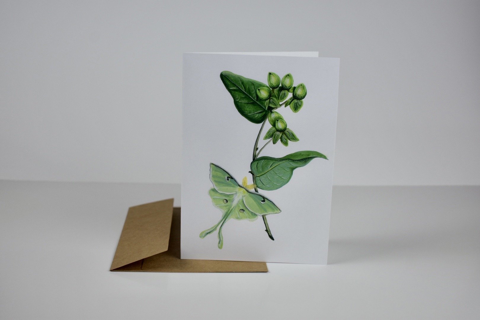 https://i.etsystatic.com/13962533/r/il/216e20/5515025640/il_fullxfull.5515025640_8a9p.jpg