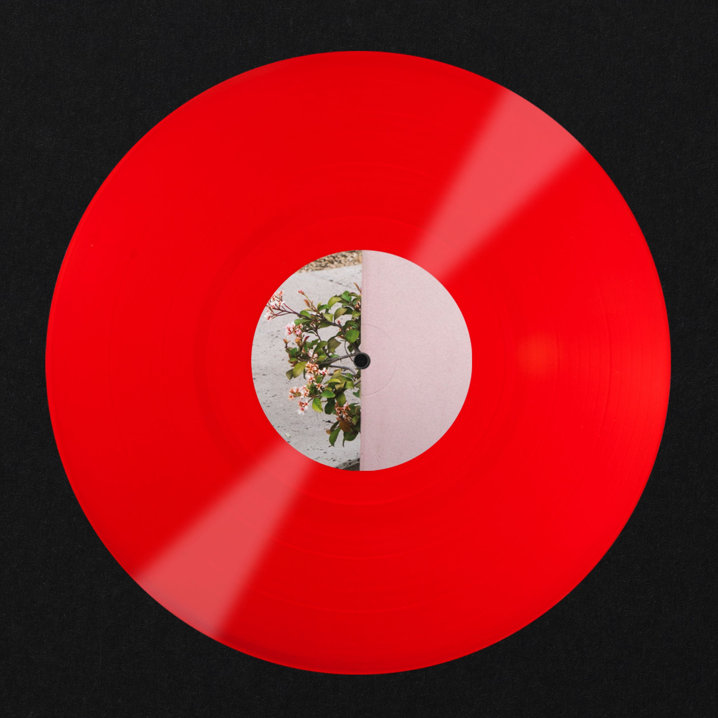 TR_VINYL_MOCKUP_5.jpg