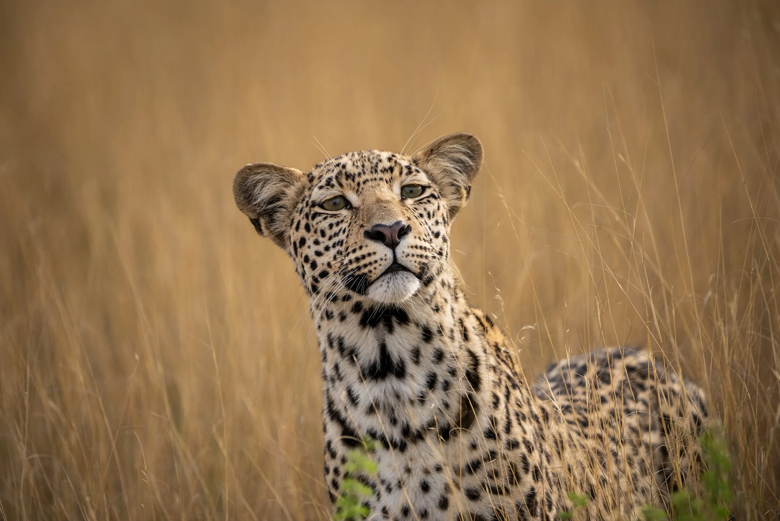Africa-049.jpg
