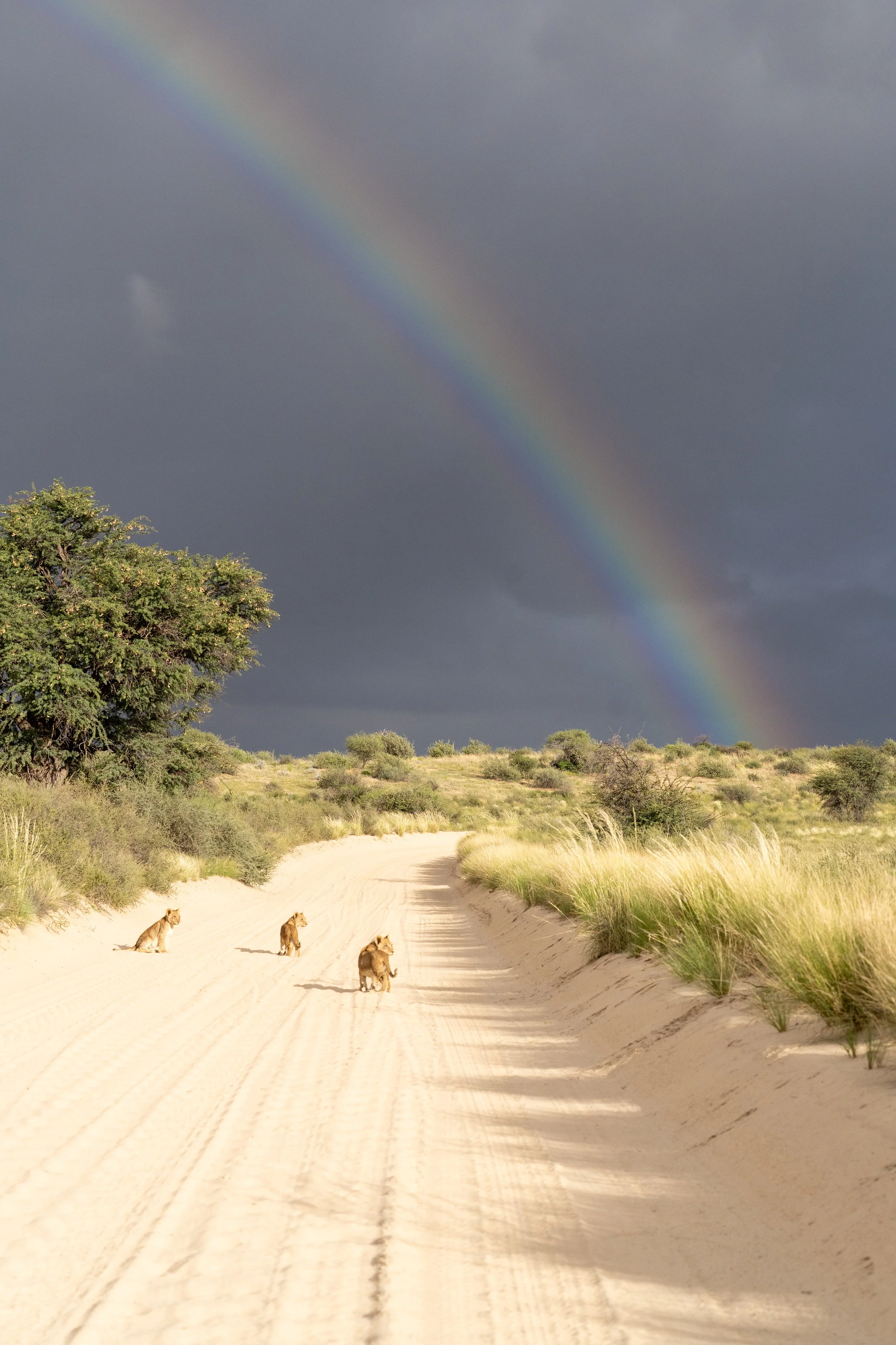 Africa_2025_0181.jpg
