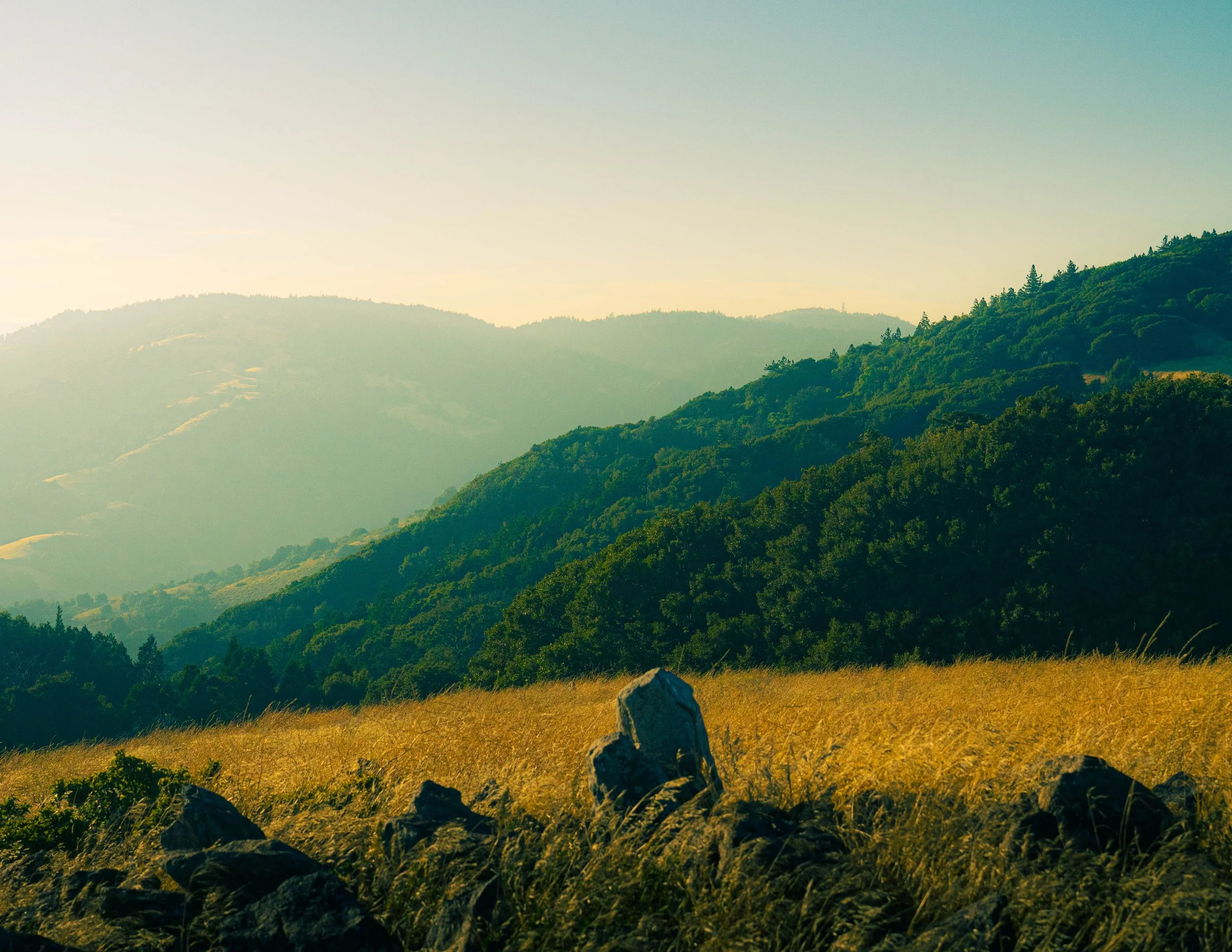 Rolling hills covered with green trees and grass, with a clear sky above.