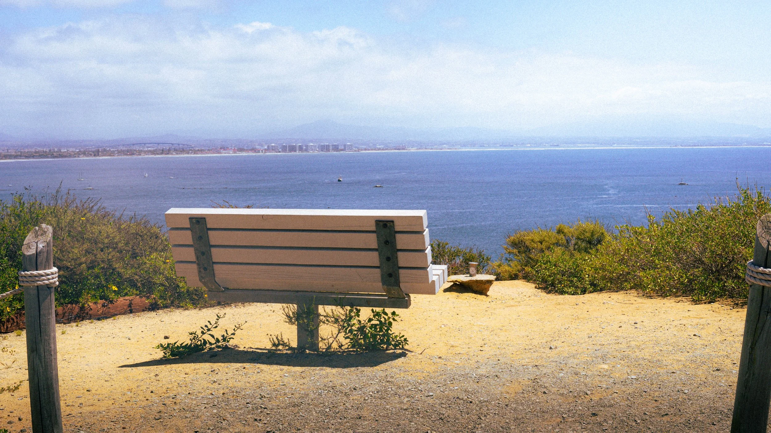 A park bench facing a large body of water with a city skyline and mountains in the distance, greenery and plants surrounding the area.
