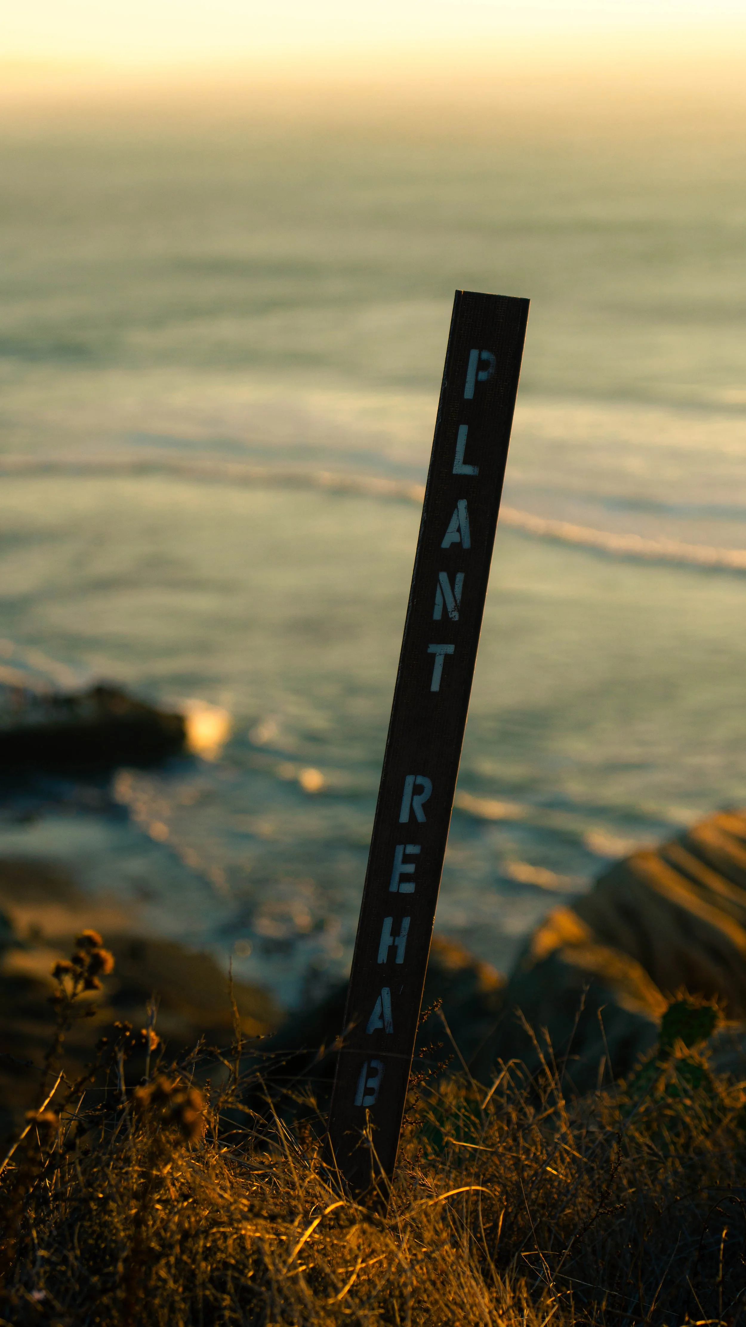 A leaning black parking sign with blue text on a beach at sunset, with rocks, plants, and the ocean in the background.