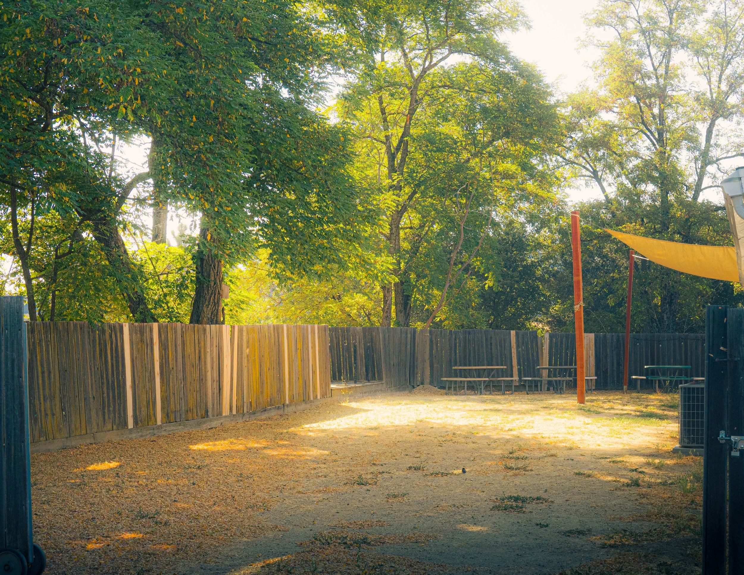 A backyard with tall trees providing shade, a wooden fence encircling the yard, and a playground with a yellow shade sail and playground equipment.