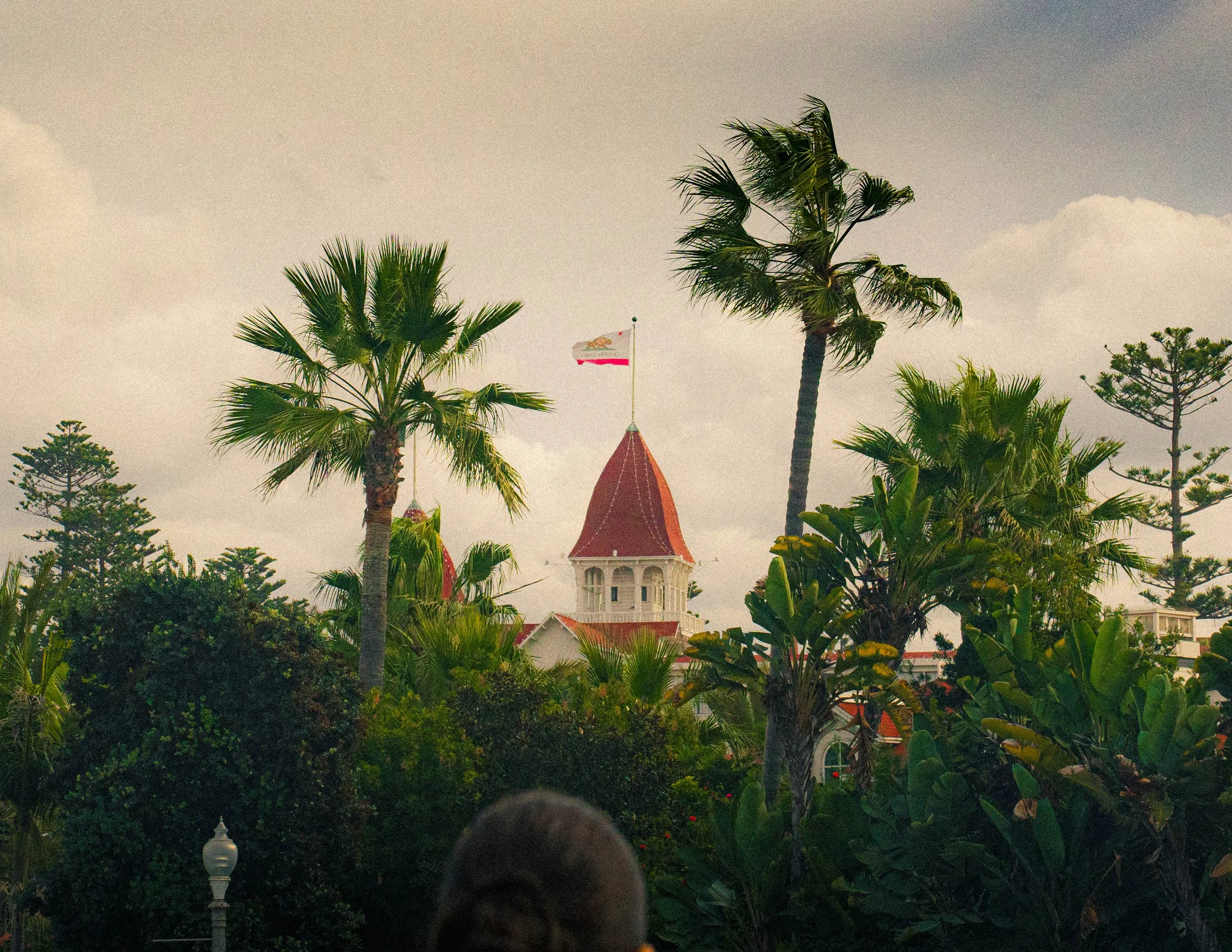 Palm trees, bushes, a flag with a bear and California flag, and a building with a pointed red roof.