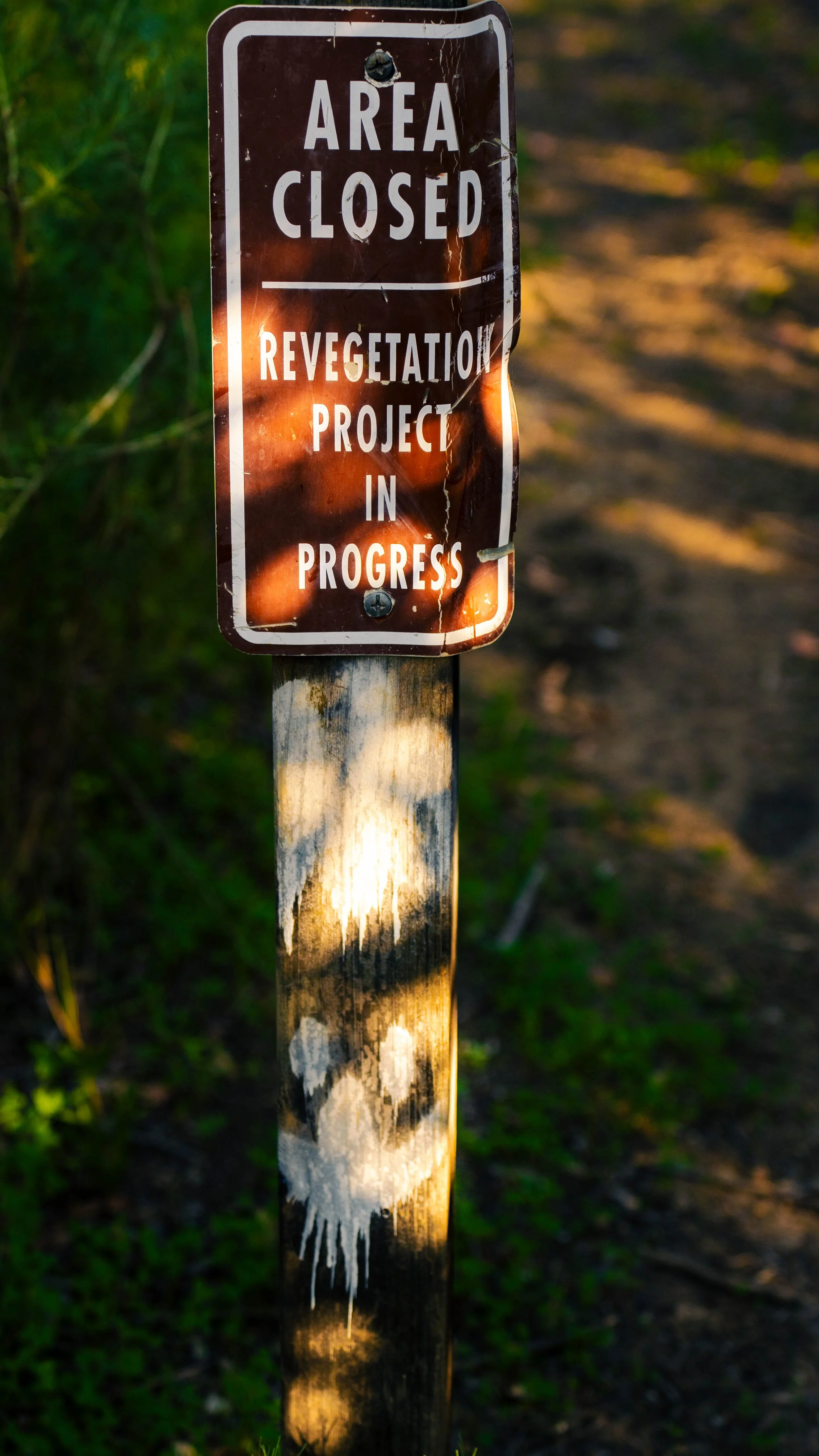 A brown sign with white text that reads 'Area Closed' and 'Revegetation Project in Progress', mounted on a weathered wooden post. The sign is slightly damaged and surrounded by greenery along a trail.