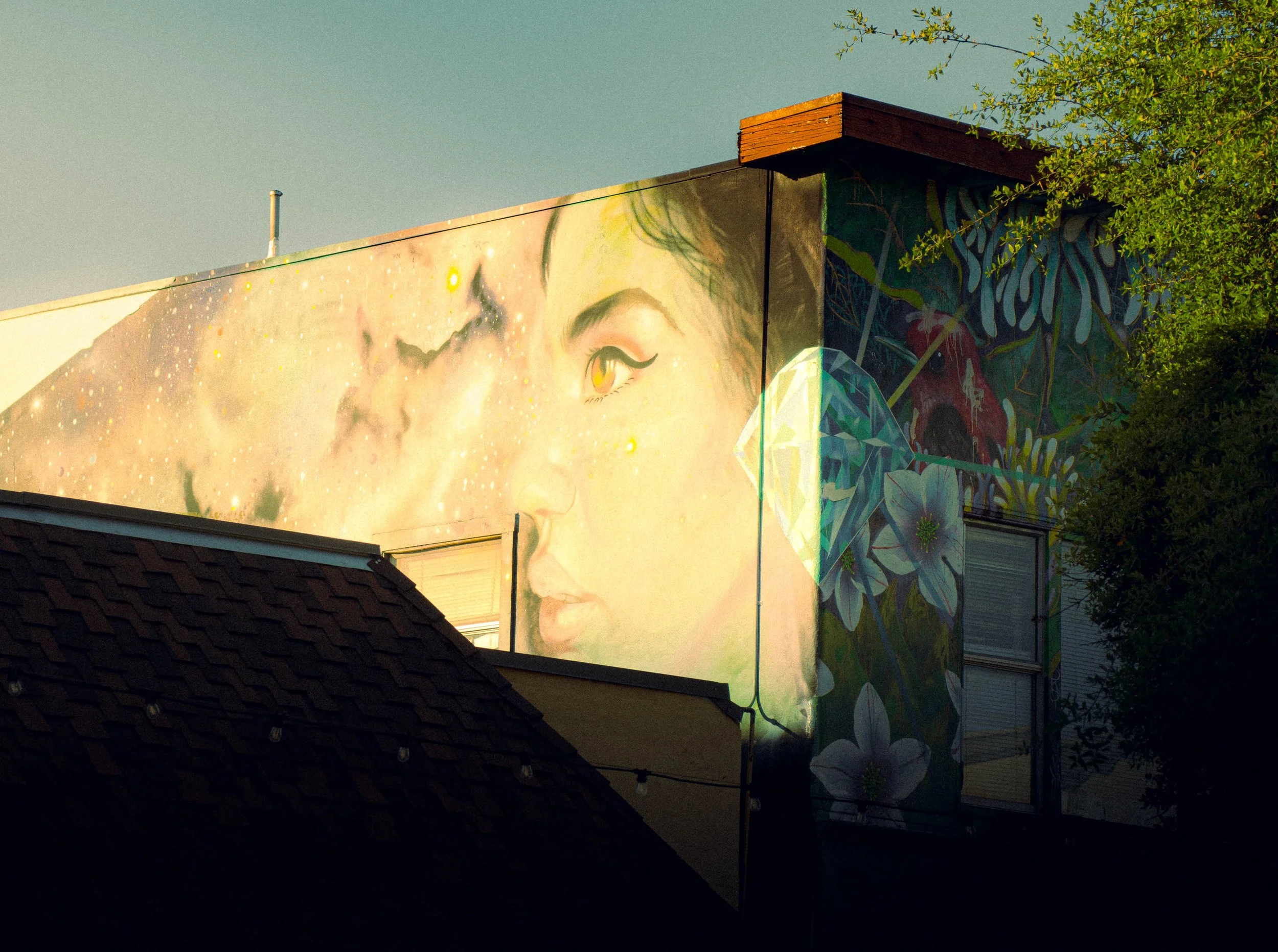 A colorful mural painted on the side of a building, featuring a girl's face with long eyelashes and an eye, surrounded by abstract and floral patterns, with trees partially obscuring the right side and a roof visible at the bottom.