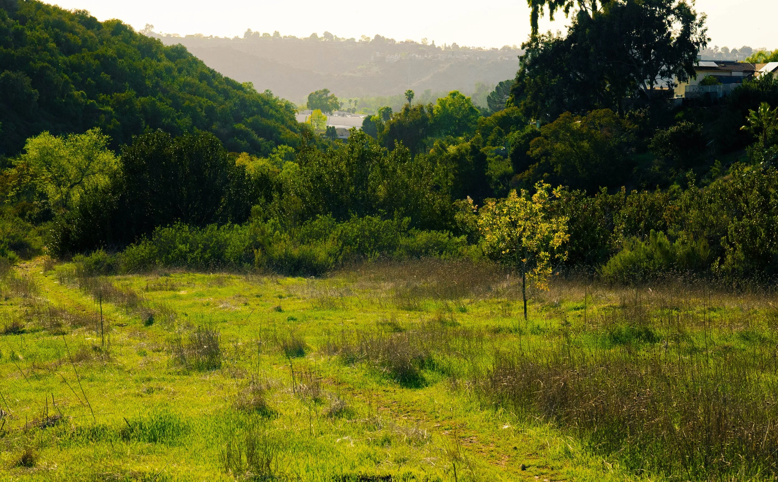 A scenic view of green rolling hills covered with trees and grass, with houses visible on one hillside in the distance, under a bright, clear sky.