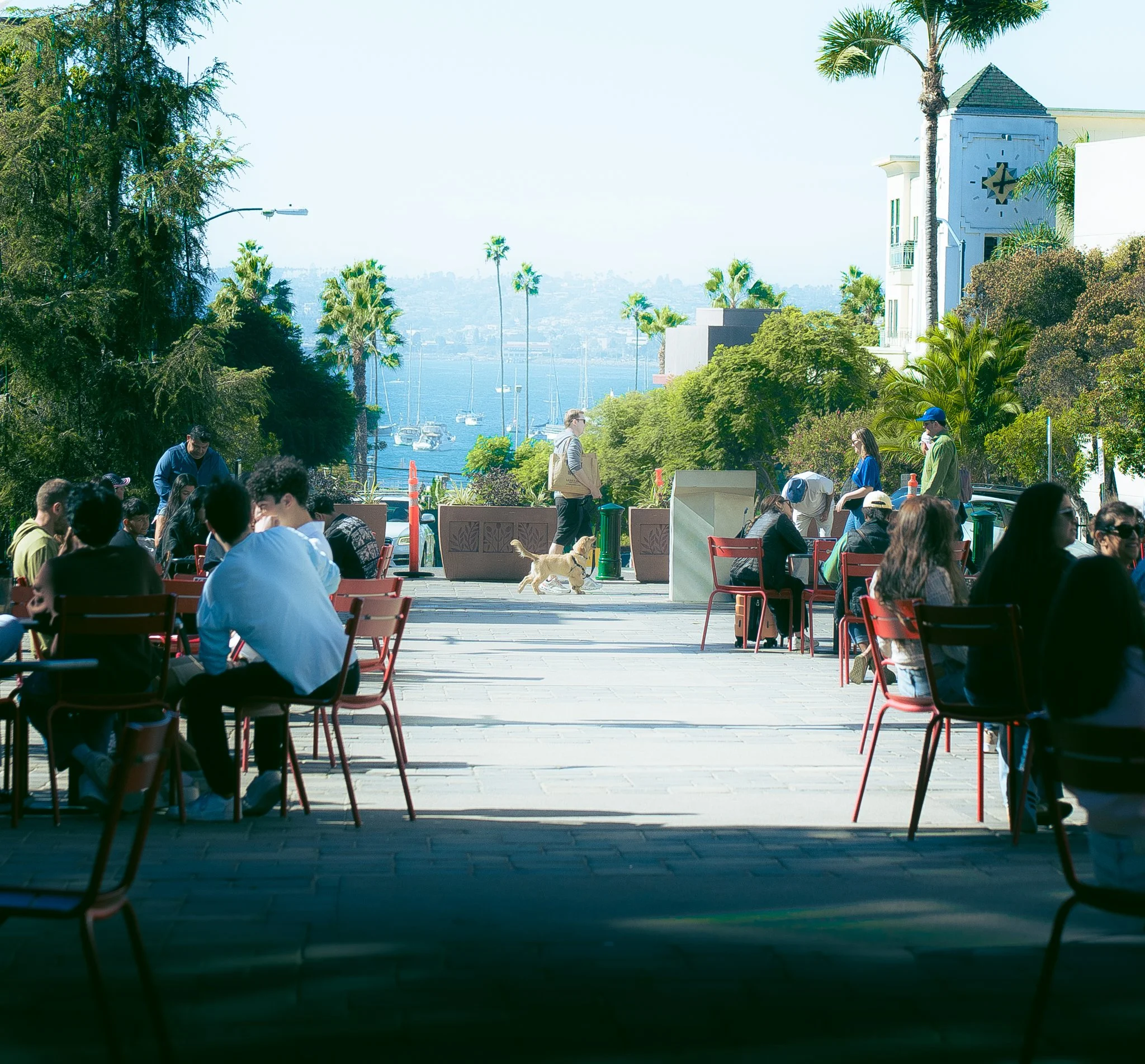 People sitting outdoors at a park with green trees, palm trees, and a view of the water and sailboats in the background on a sunny day.