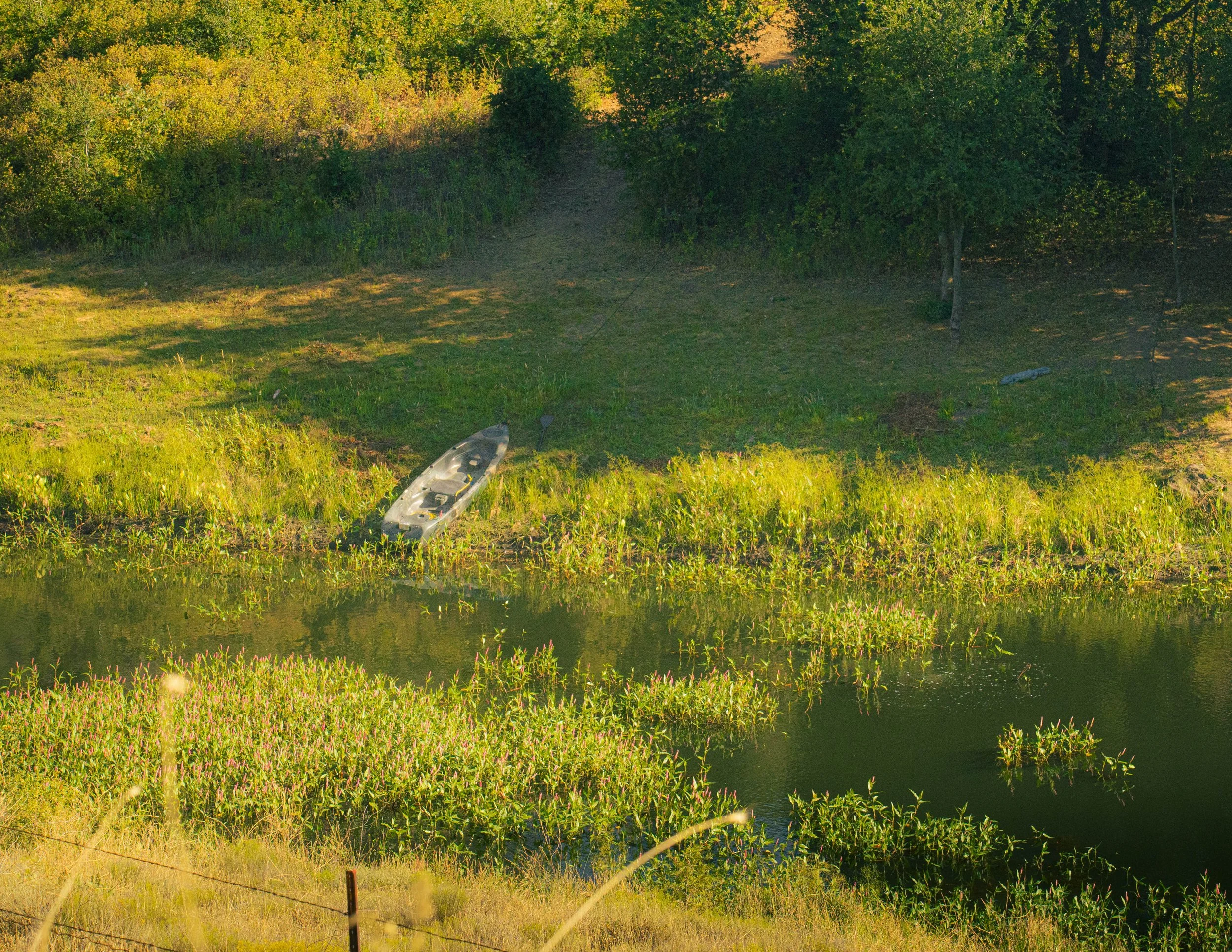 A small boat on the shore near a body of water surrounded by a grassy area and dense trees, likely in a park or forested area.