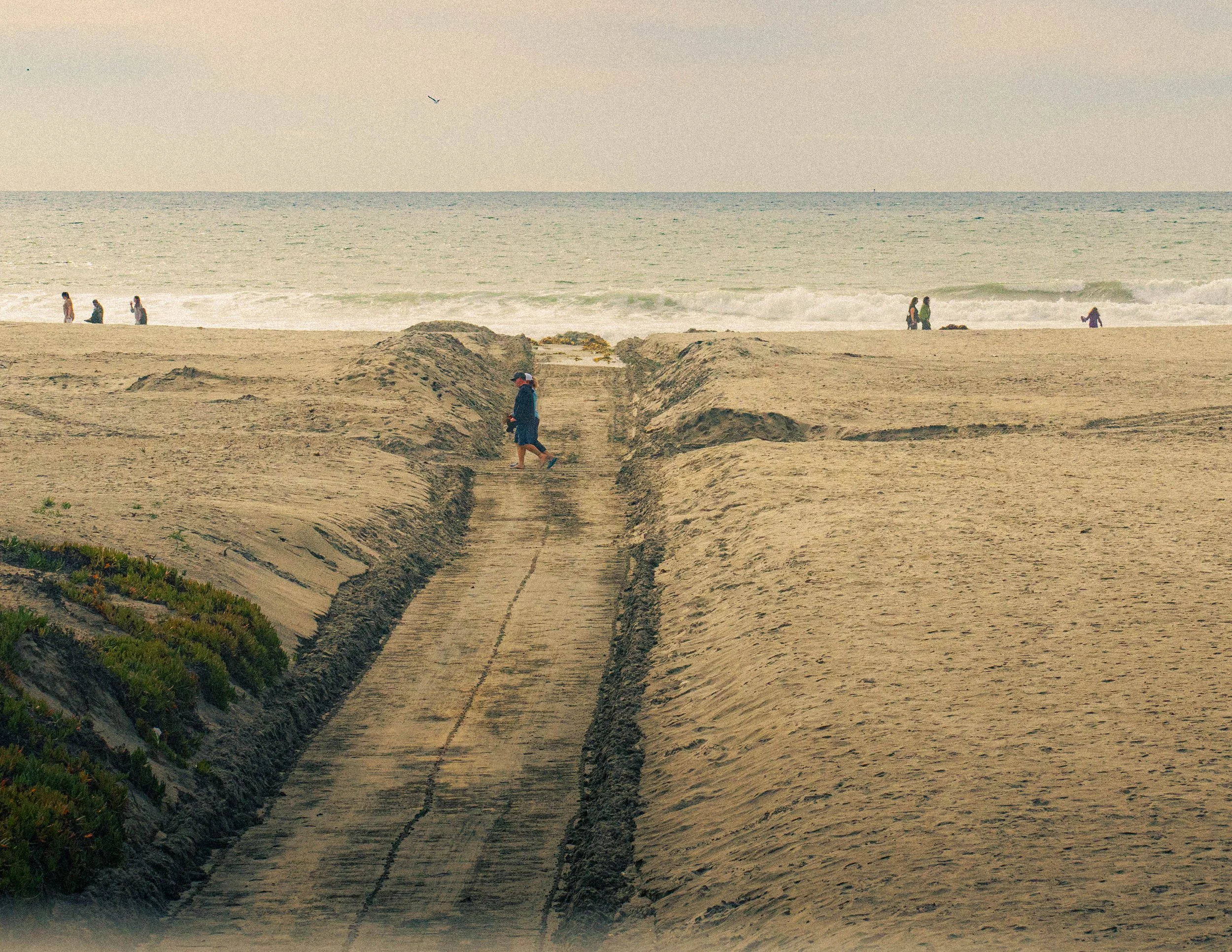 People walking along a sandy beach near the ocean, with some facing the water and others walking in different directions, and dunes with vegetation in the foreground.