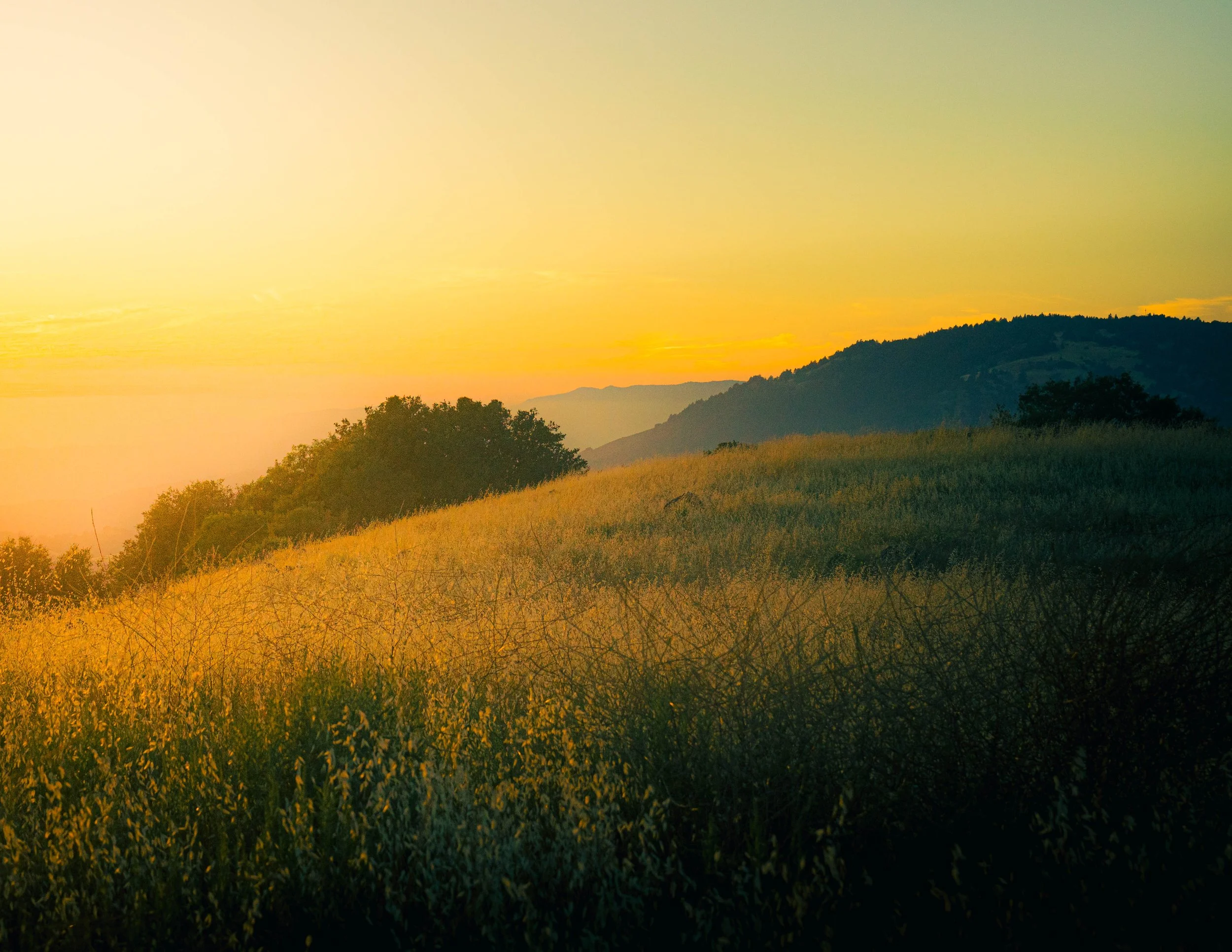 A landscape scene at sunset with a grassy field in the foreground, trees, and hills or mountains in the distance. The sky is a gradient of yellow, orange, and light green hues.
