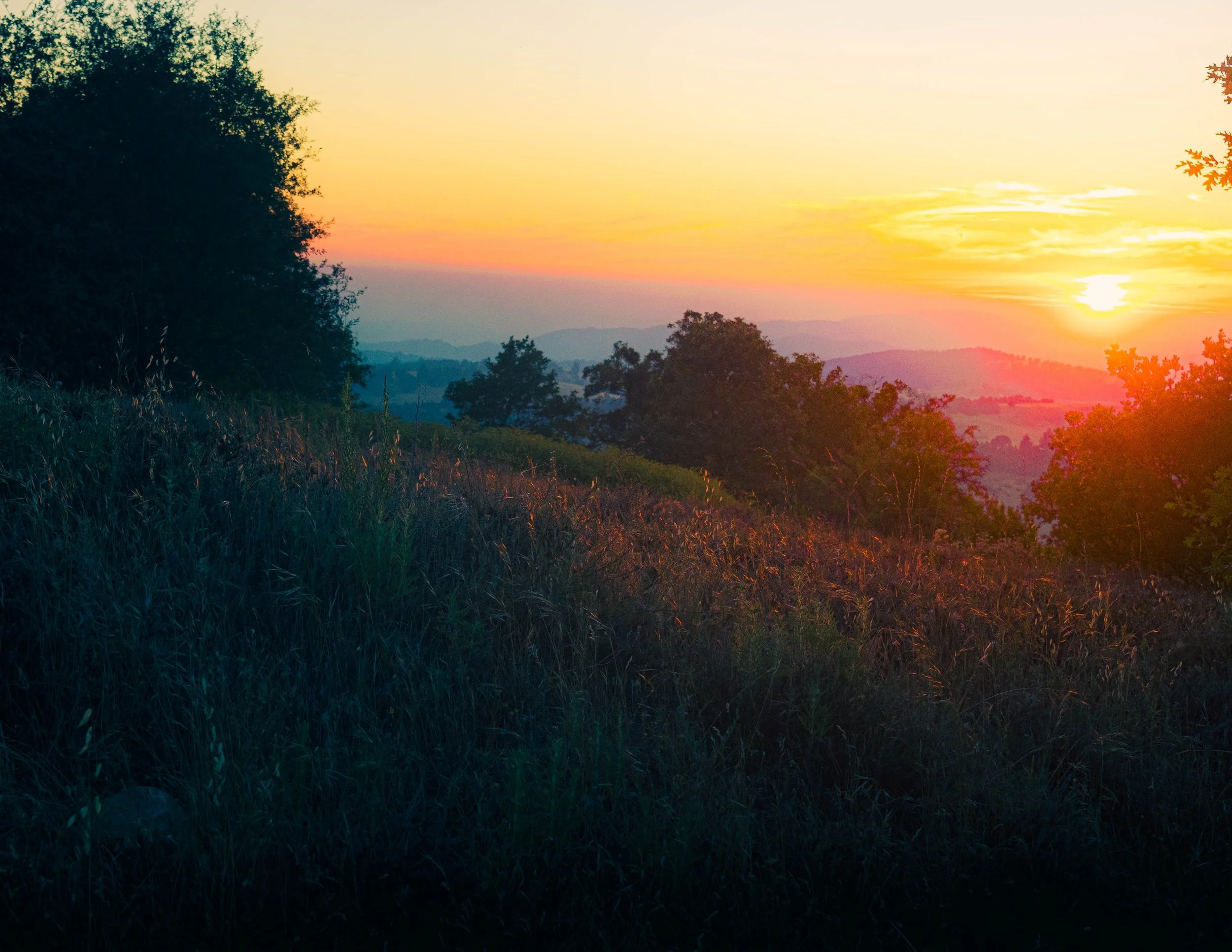Sunset over a hilly landscape with trees and grass in the foreground.