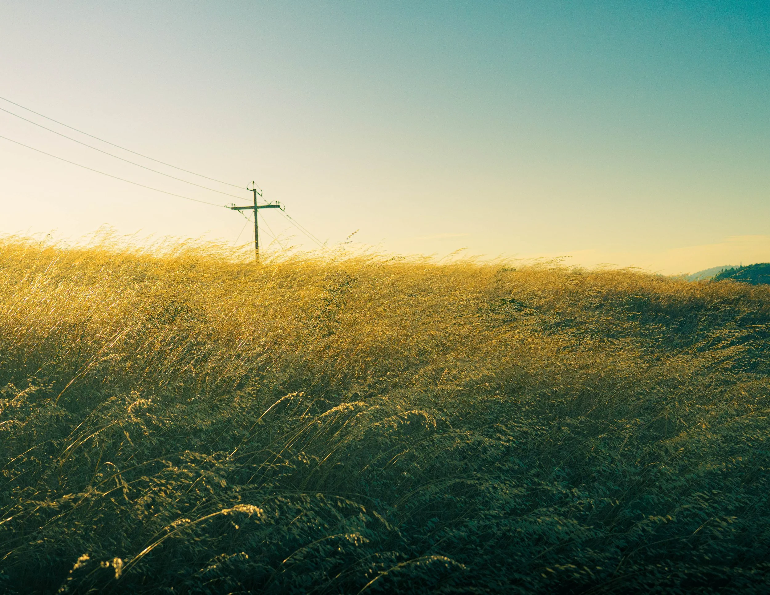 Power lines and a utility pole in a field under a clear sky.
