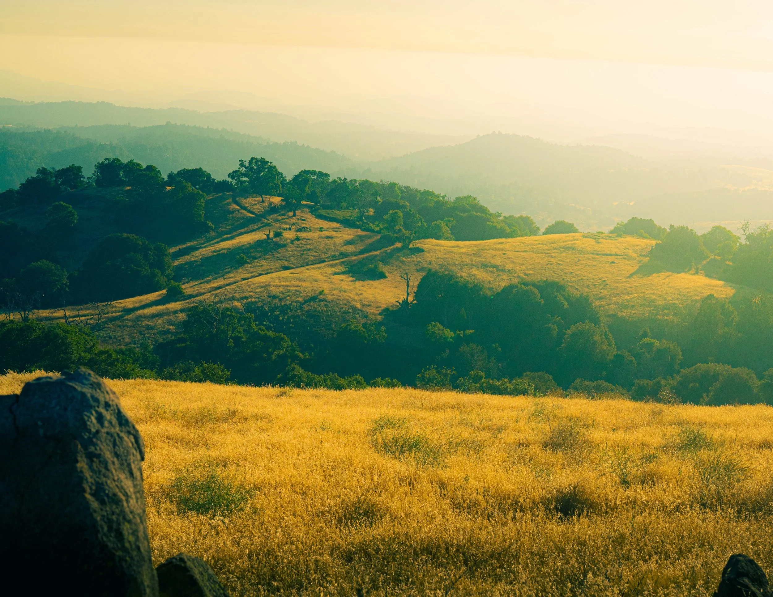 Sunlit rolling hills with scattered green trees and grassy fields, misty distant mountains, and a large rock in the foreground.