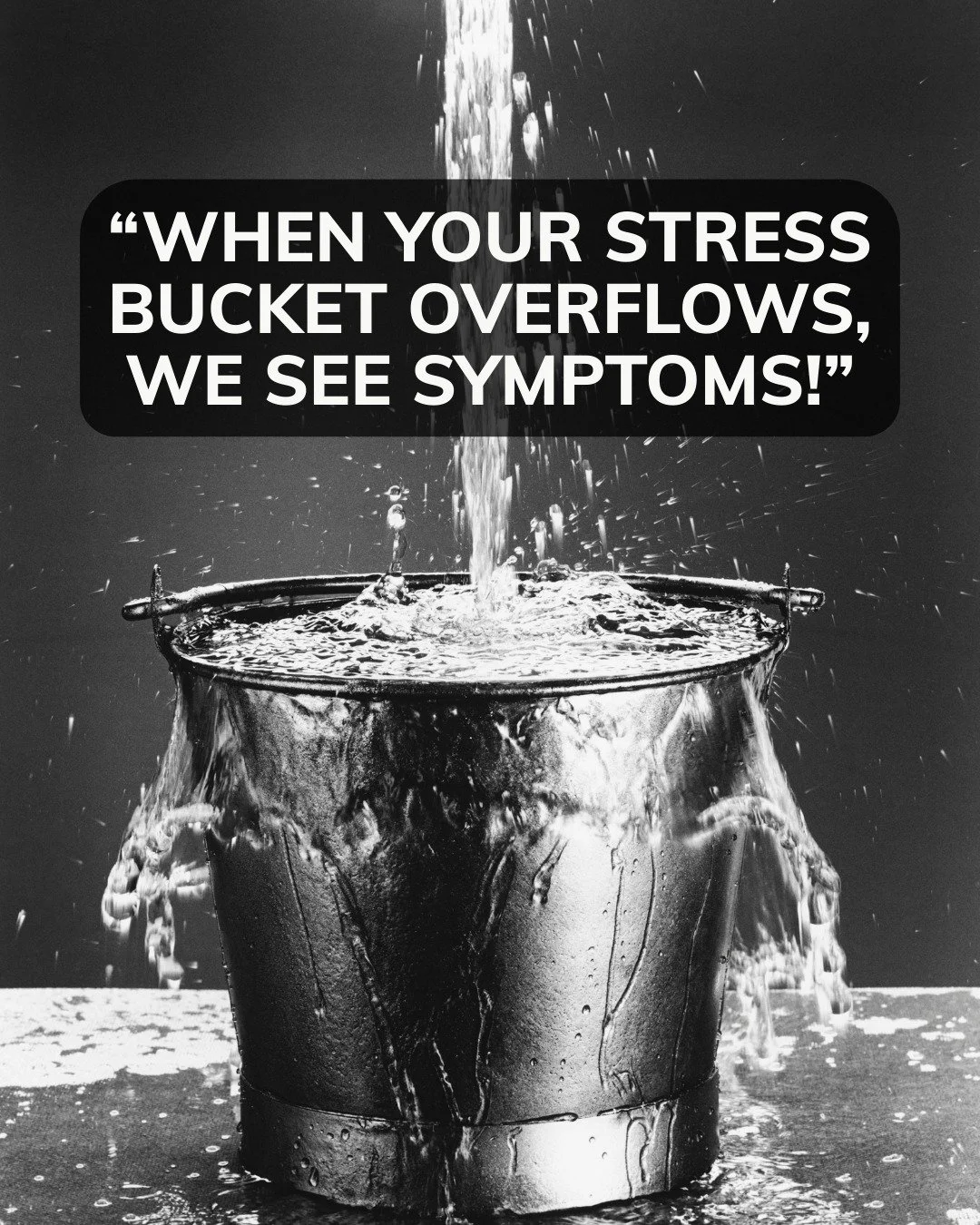 Holiday season = a fuller stress bucket. Make sure you&rsquo;re poking holes in yours with rest, boundaries, sunlight, movement, and support. ✨