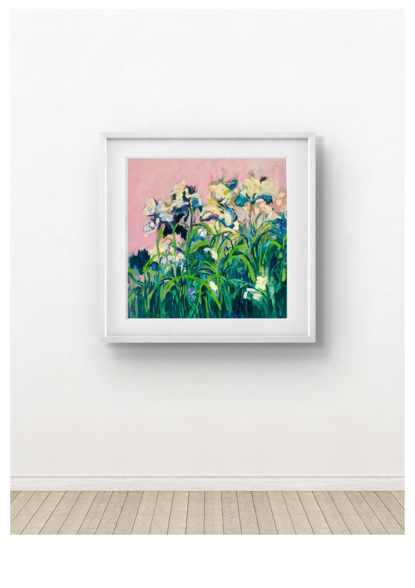 Pink Iris