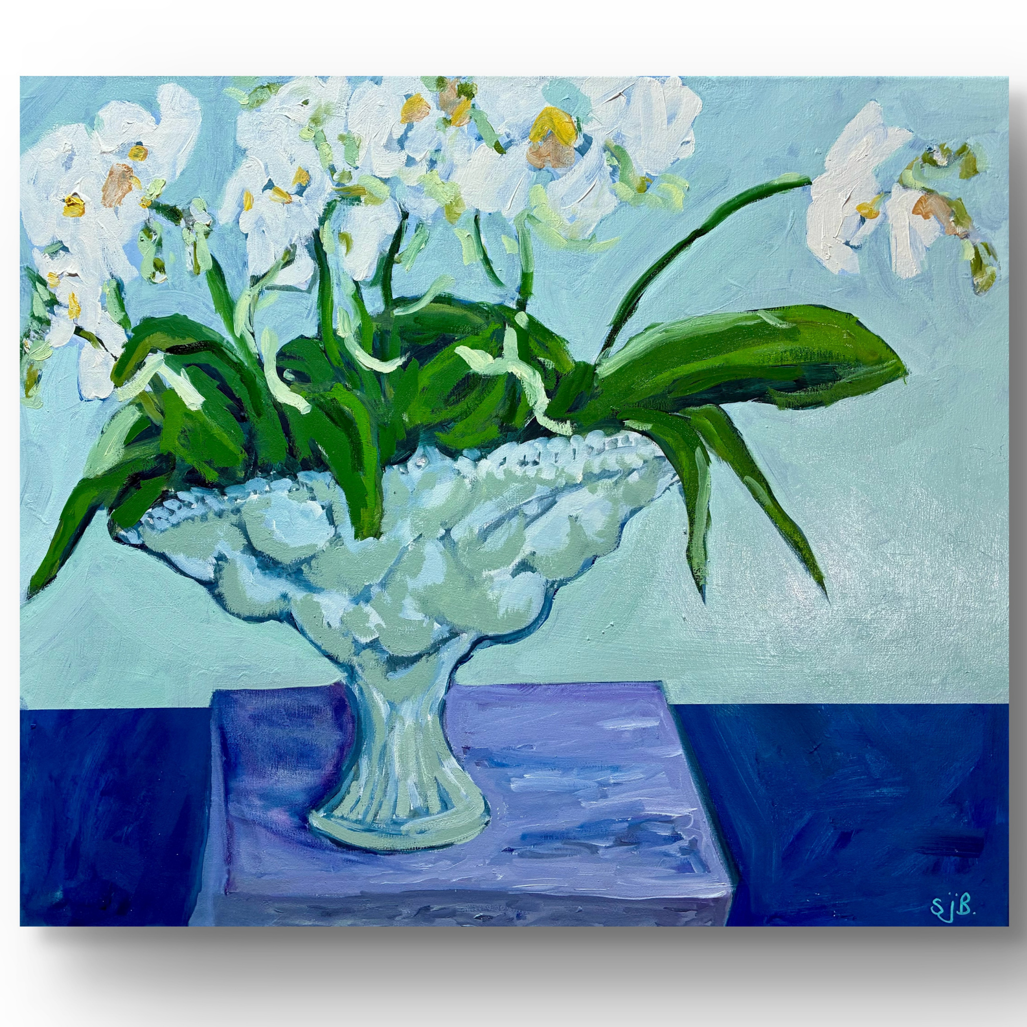 Phalaenopsis in Chelsea